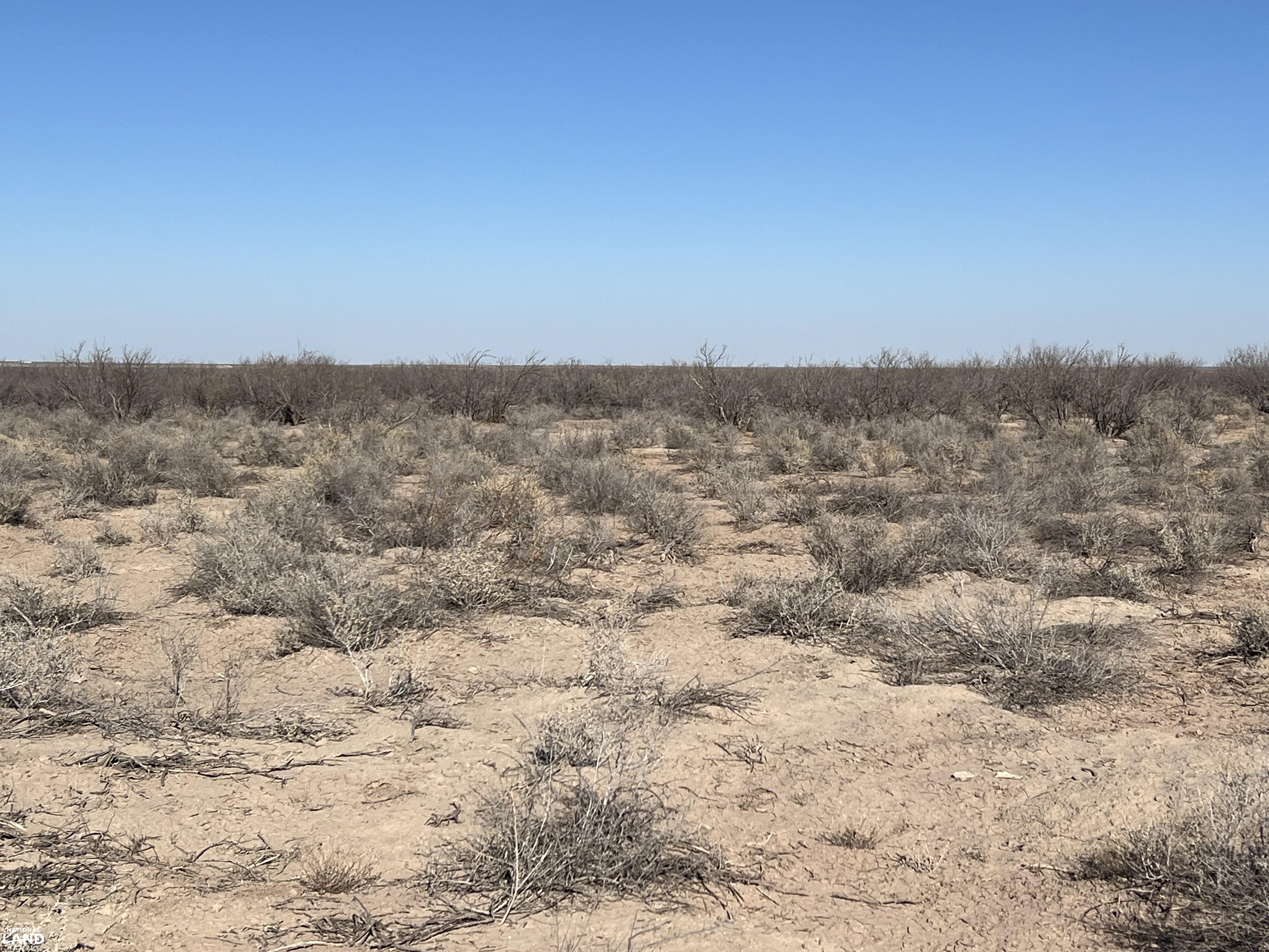 Miner's Lake Pecos River Tracts in Pecos County, Texas (81 Photos