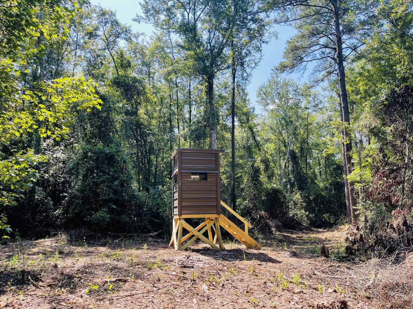 Green Sea 2 in Bladen County, North Carolina (18 Photos) National