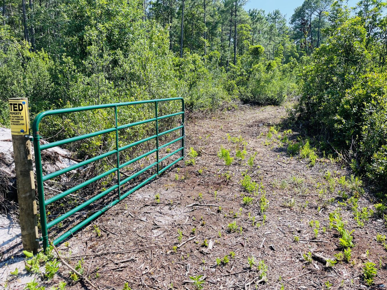 Green Sea 1 in Bladen County, North Carolina (23 Photos) National Land Realty