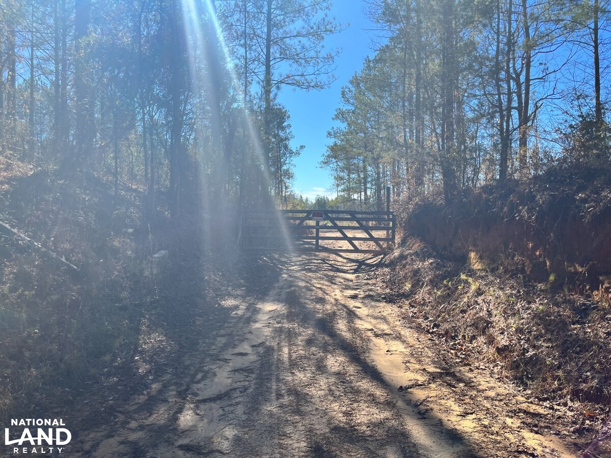 Hunting, Investment & Recreational Property With Home and Cabin Sites