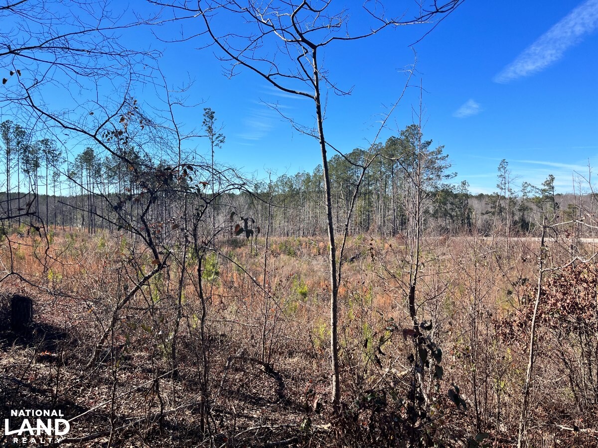 Hunting, Investment & Recreational Property With Home and Cabin Sites