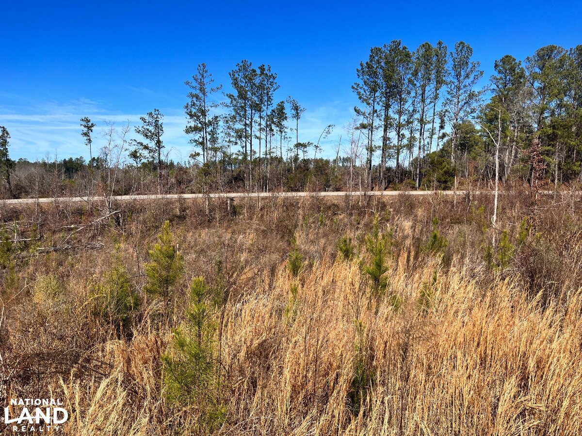 Hunting, Investment & Recreational Property With Home and Cabin Sites