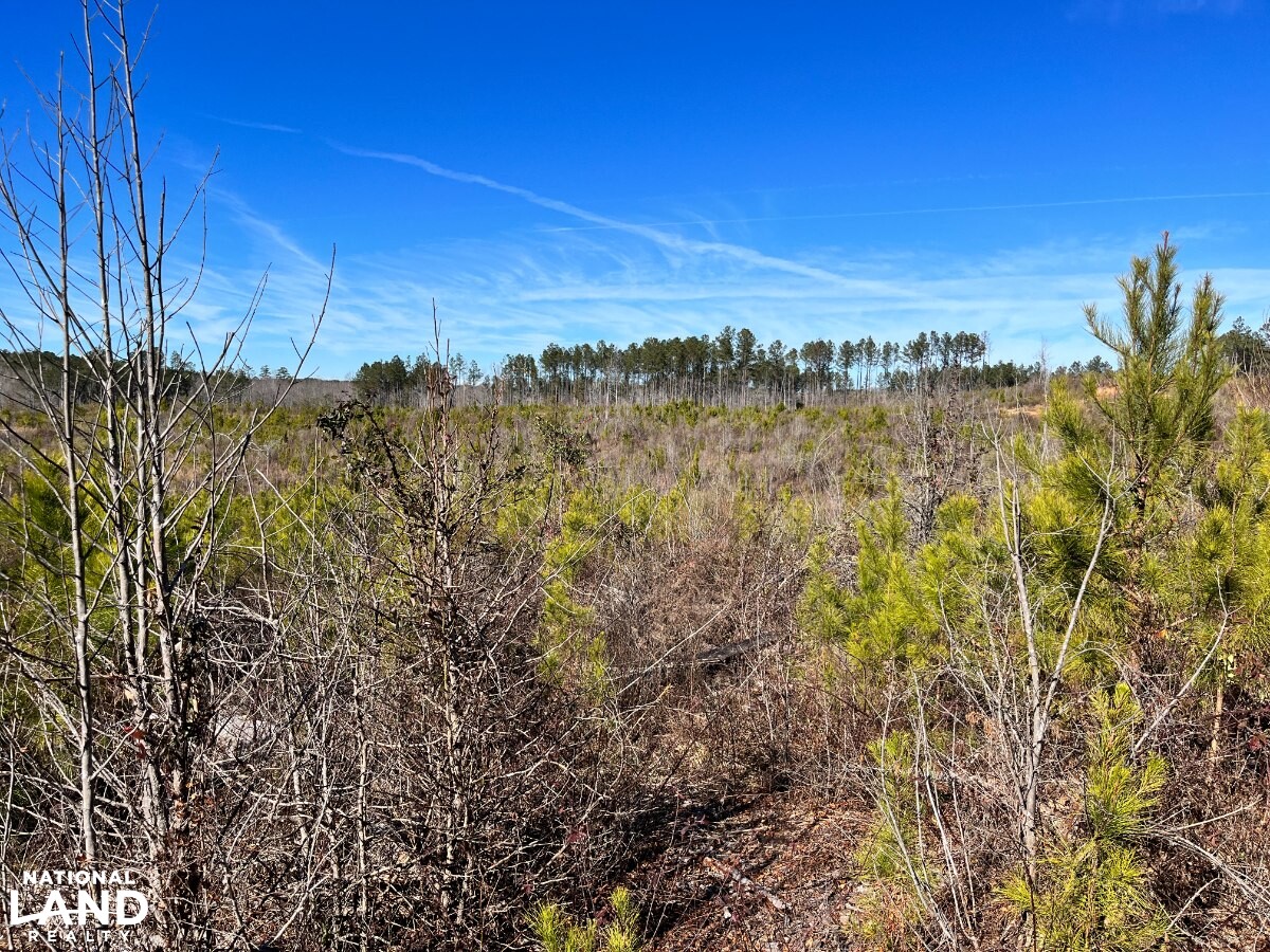 Hunting, Investment & Recreational Property With Home and Cabin Sites