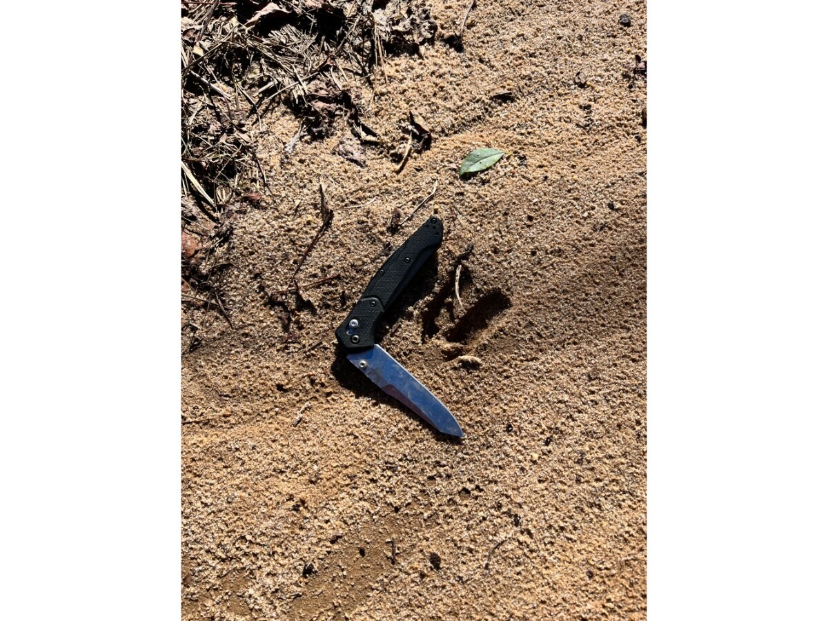 Investment & Recreational/Hunting Timberland on Highway 45 (TG1) in