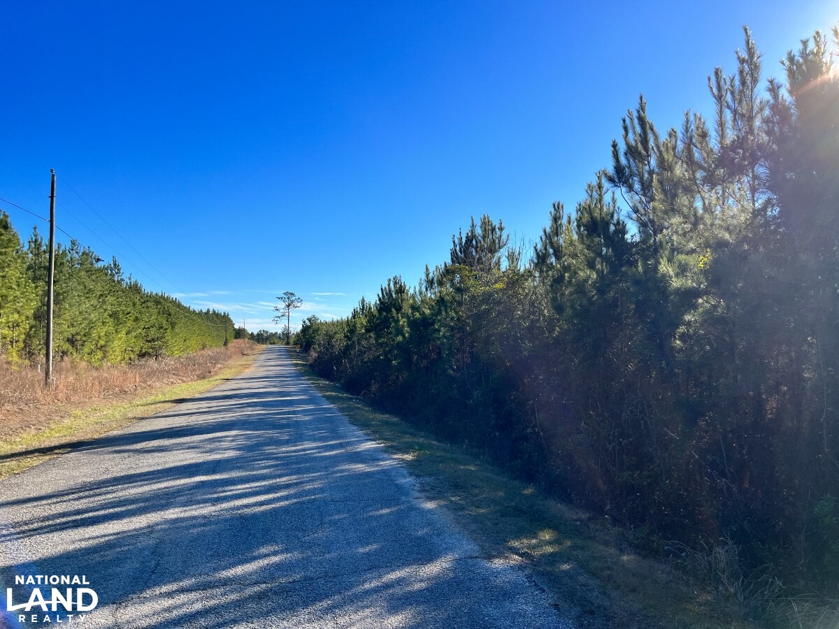 Hunting and Investment Timberland With Home/Cabin Site (TG2) in