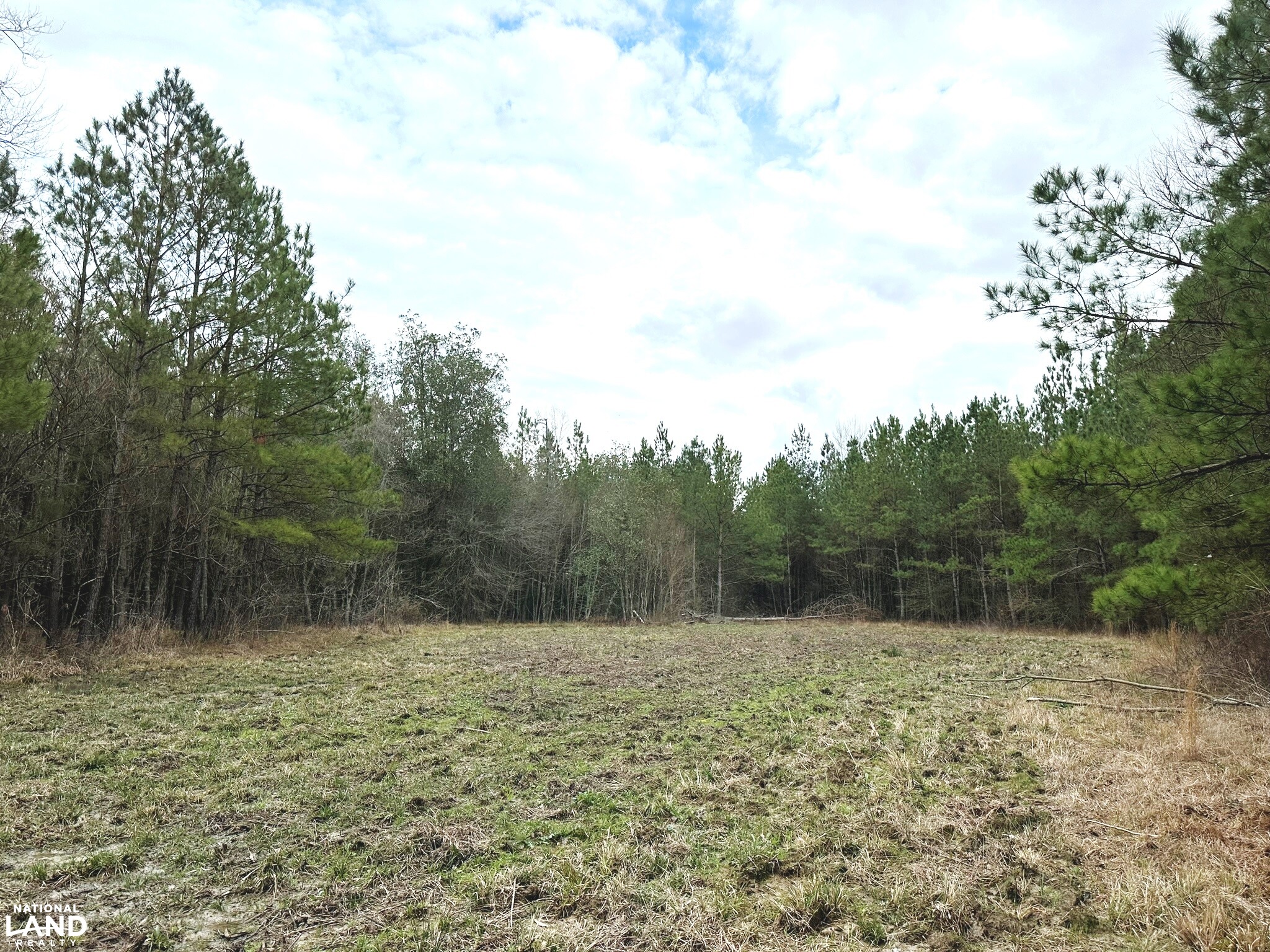 Bouie River Timber Property in Jefferson Davis County, Mississippi (17