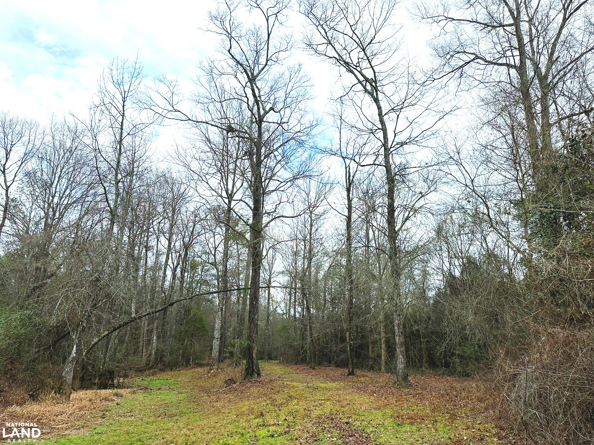 Bouie River Timber Property in Jefferson Davis County, Mississippi (17