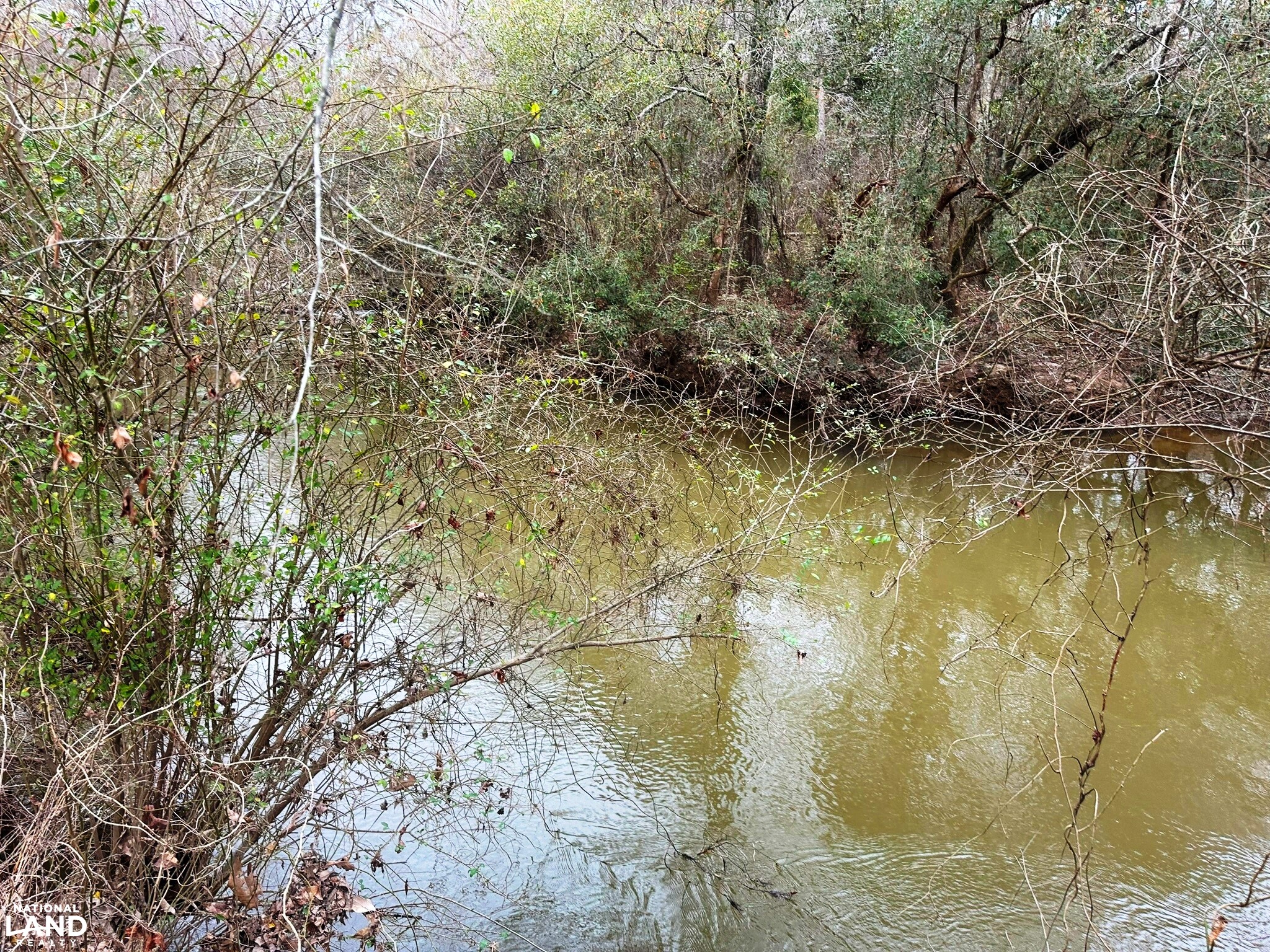Bouie River Timber Property in Jefferson Davis County, Mississippi (17