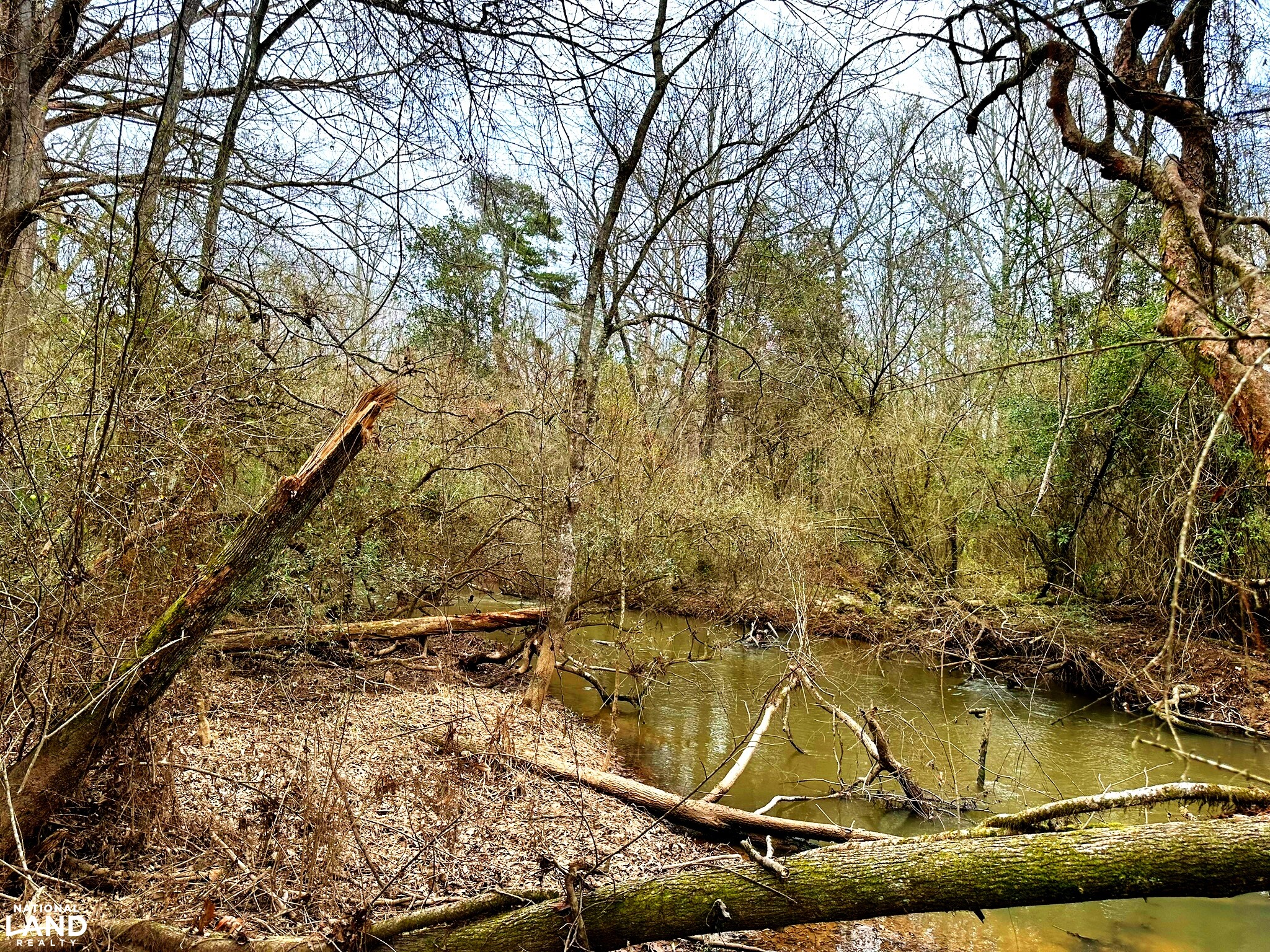 Bouie River Timber Property in Jefferson Davis County, Mississippi (17