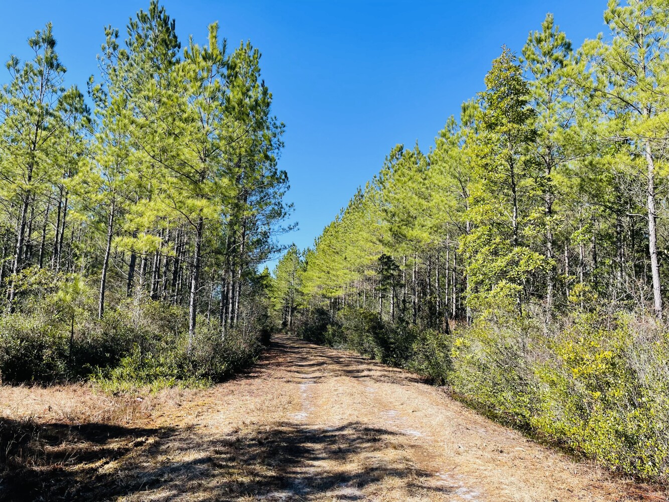 Harrells 232. in Sampson County, North Carolina (12 Photos) National Land Realty