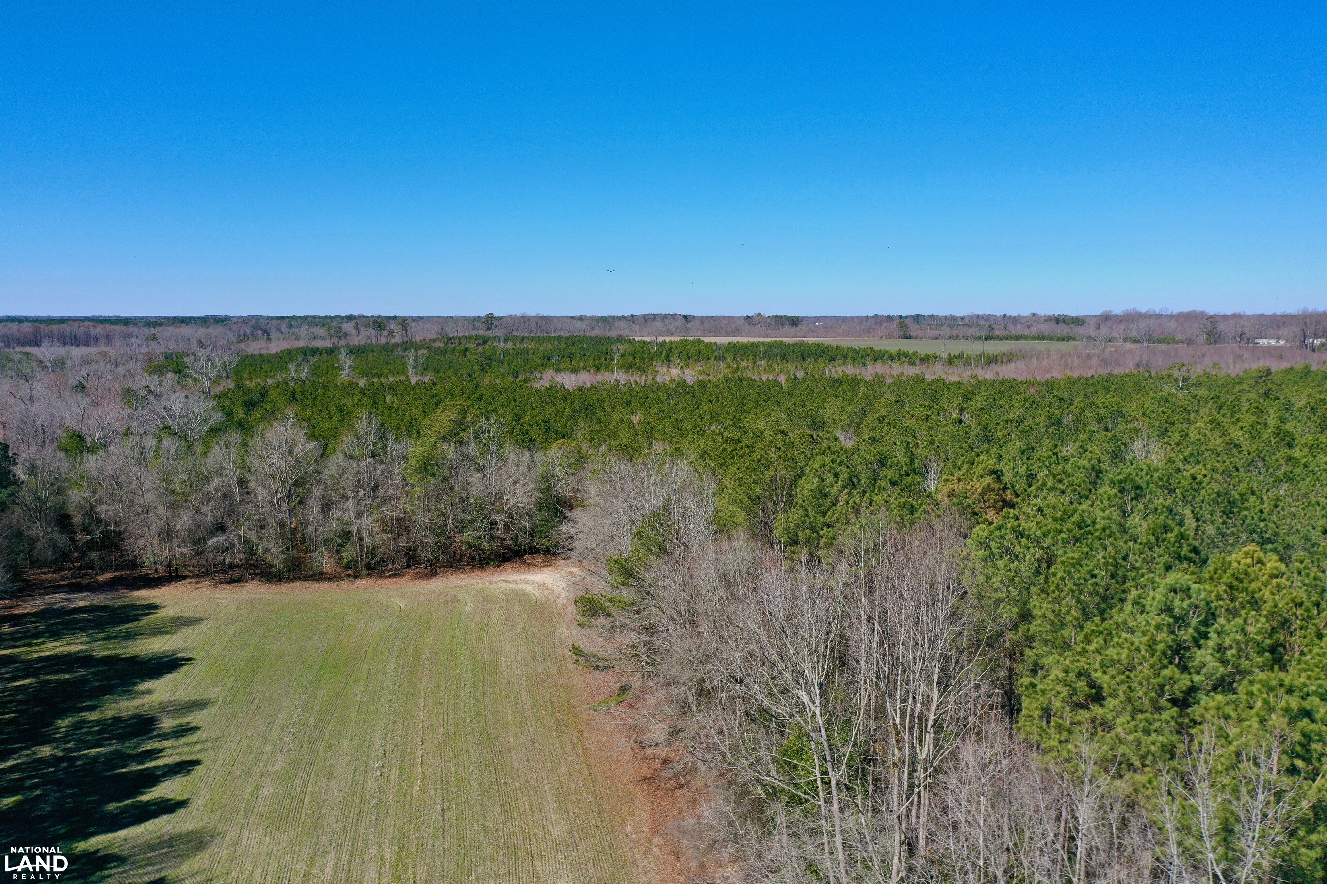 Hertford County Farm and Timber Tract in Hertford County, North