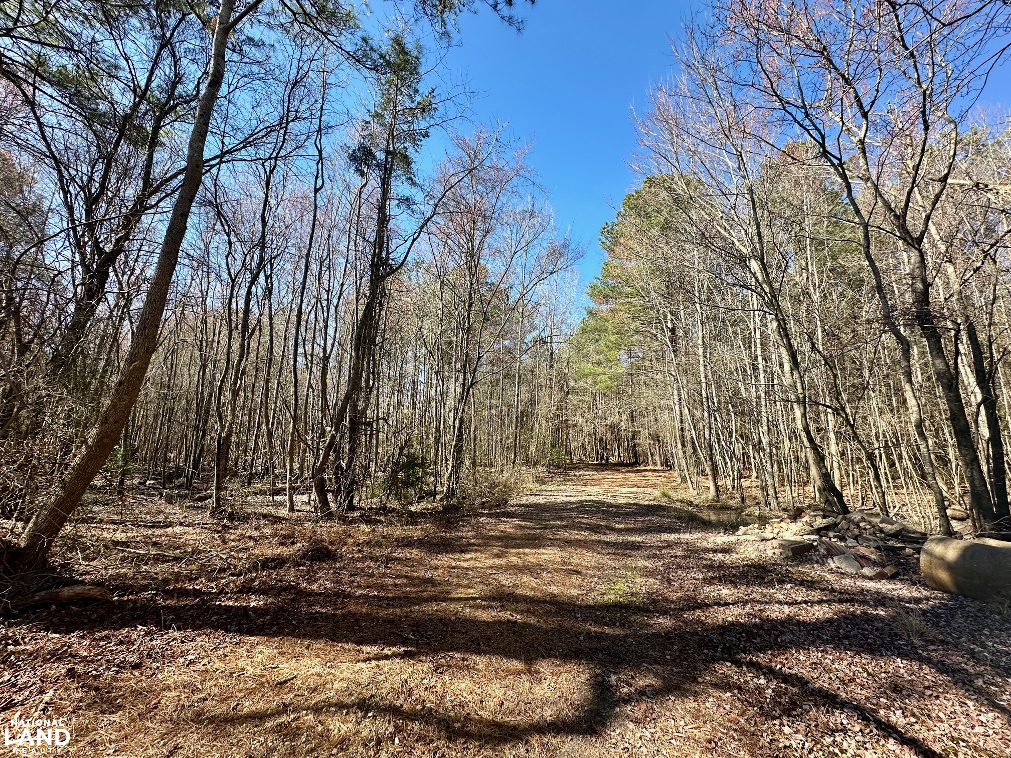 Hertford County Farm and Timber Tract in Hertford County, North