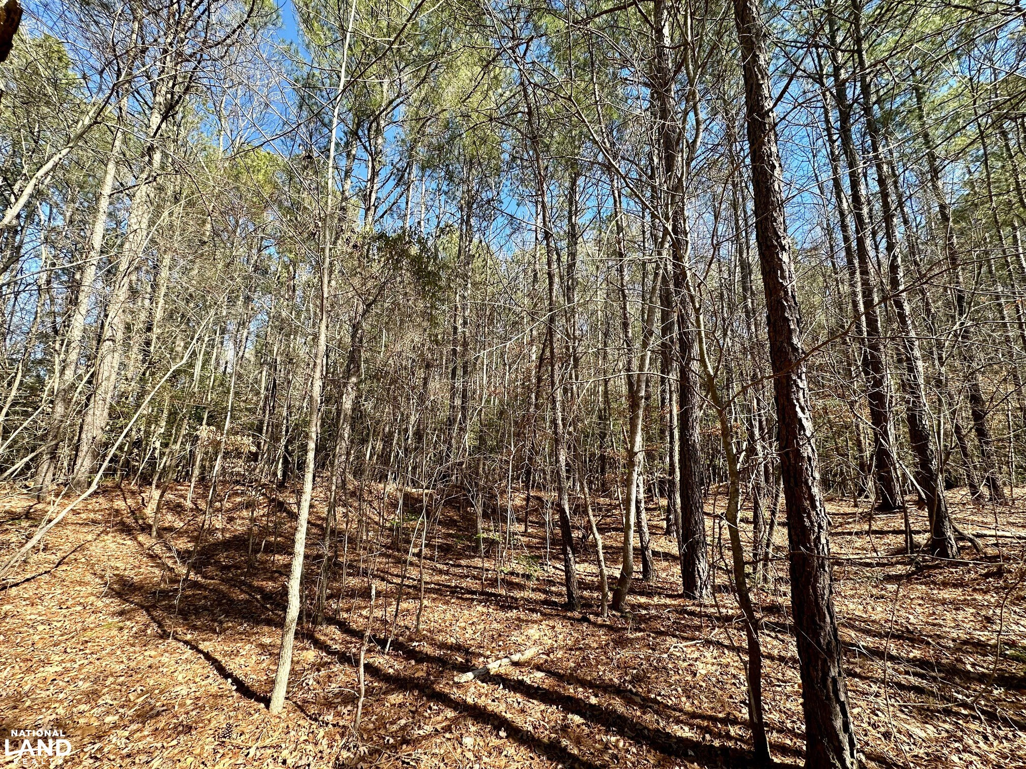 Hertford County Farm and Timber Tract in Hertford County, North