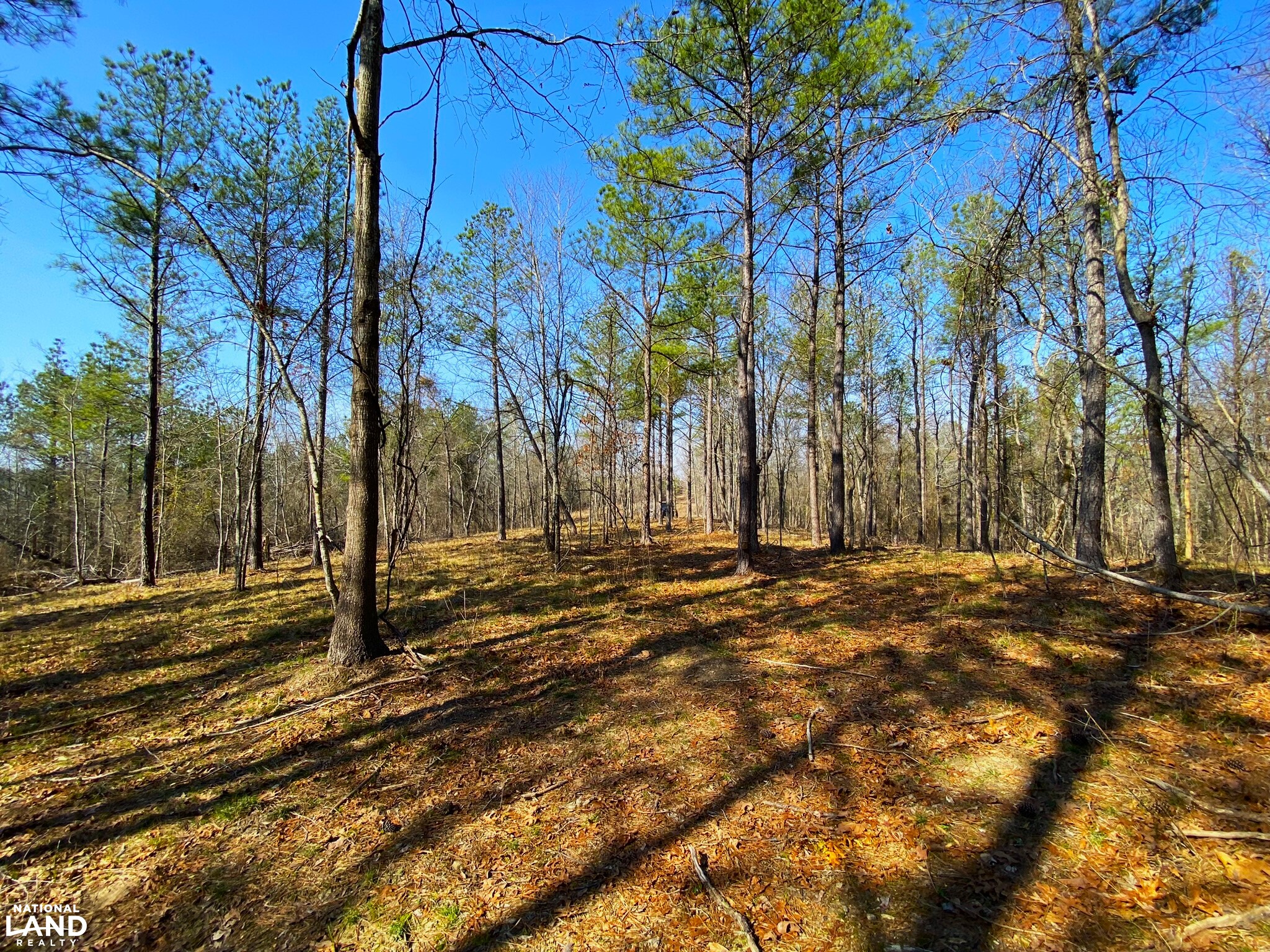 Elrod Home Site & Hunting Land in Tuscaloosa County, Alabama (24