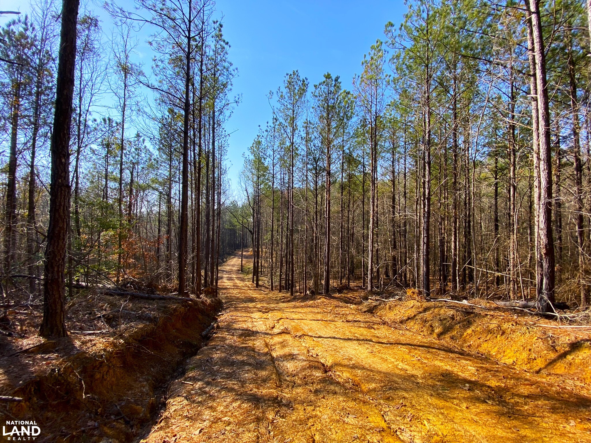 Elrod Home Site & Hunting Land in Tuscaloosa County, Alabama (24
