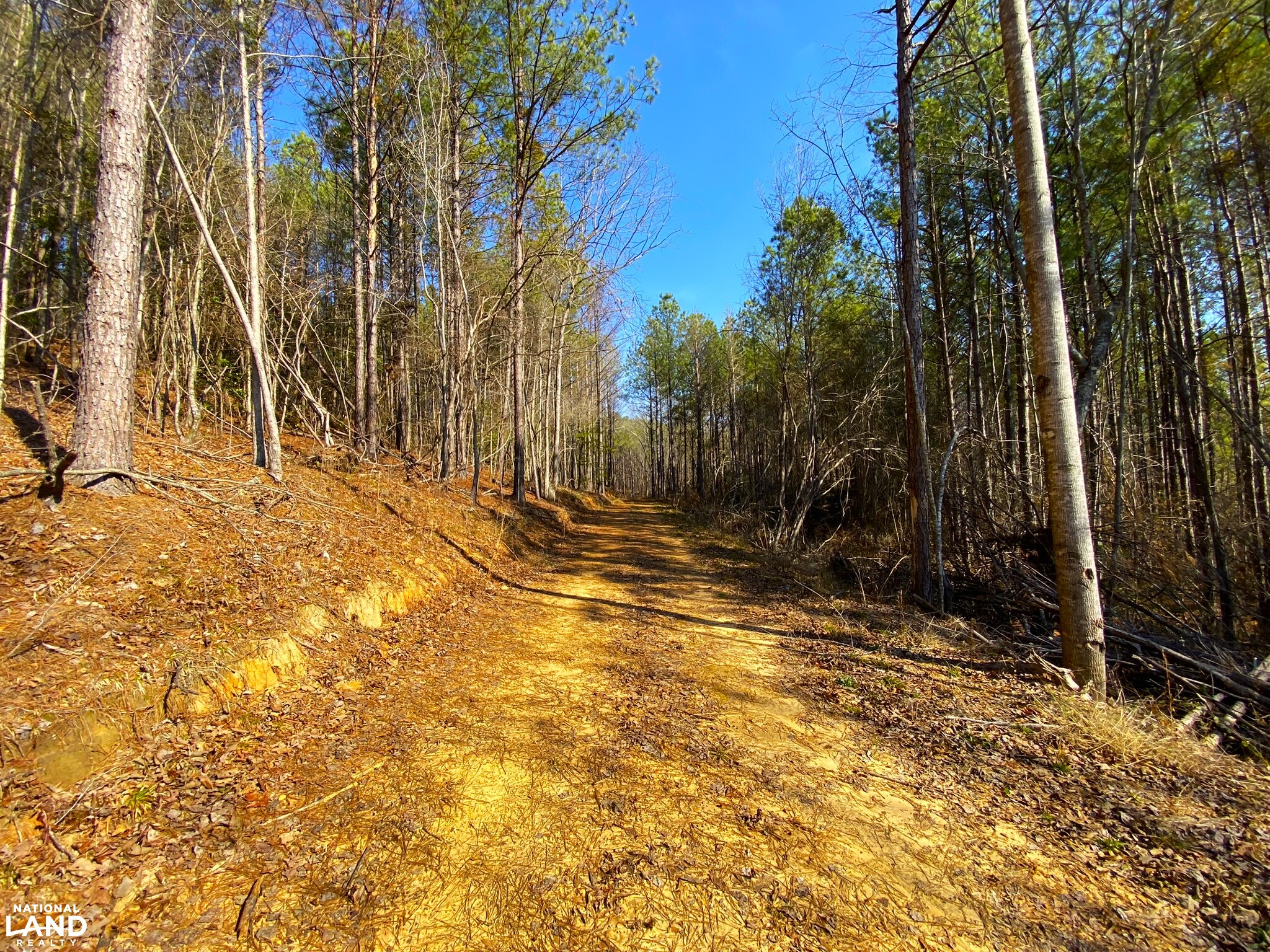 Elrod Home Site & Hunting Land in Tuscaloosa County, Alabama (24