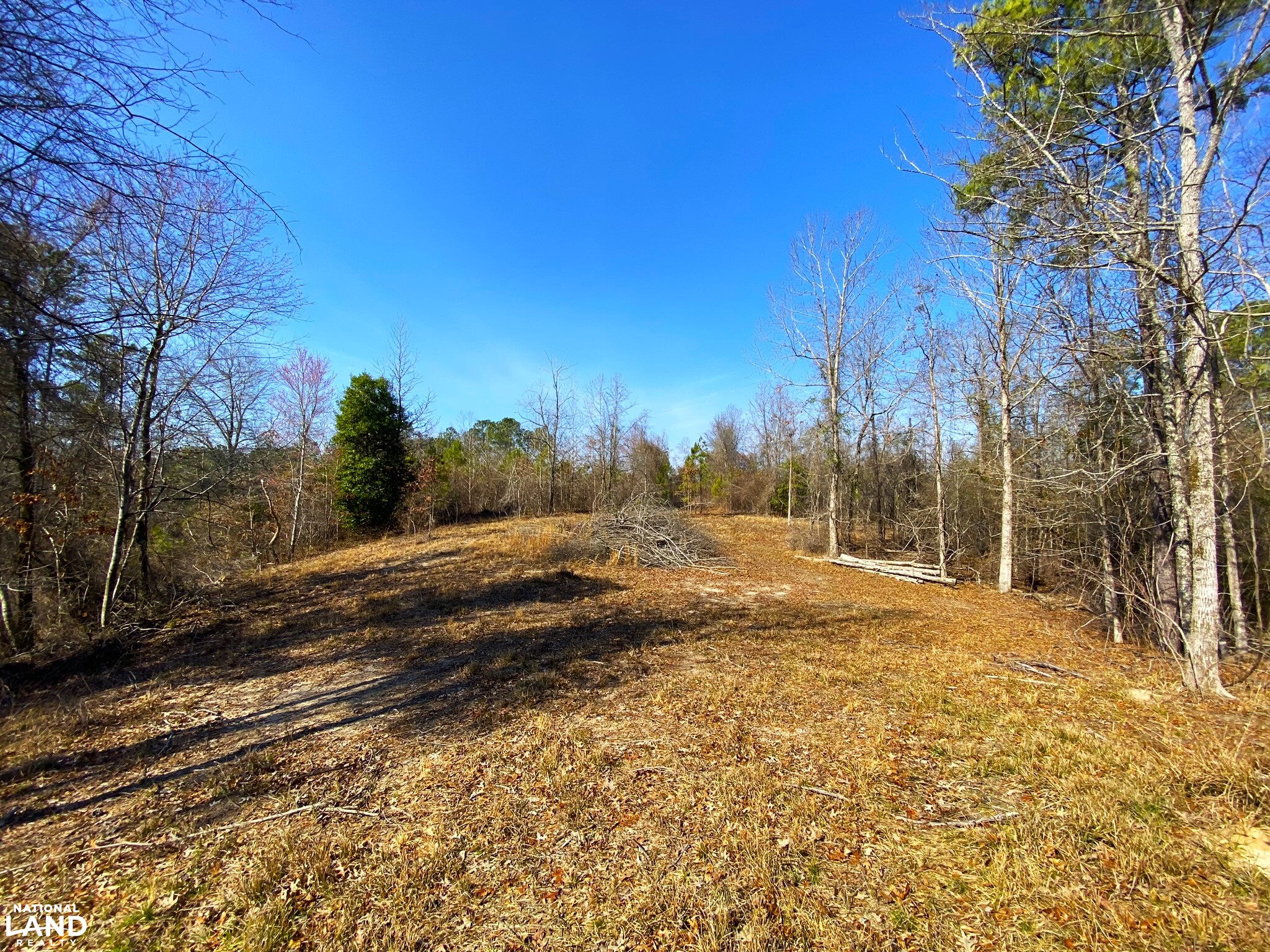 Elrod Home Site & Hunting Land in Tuscaloosa County, Alabama (24