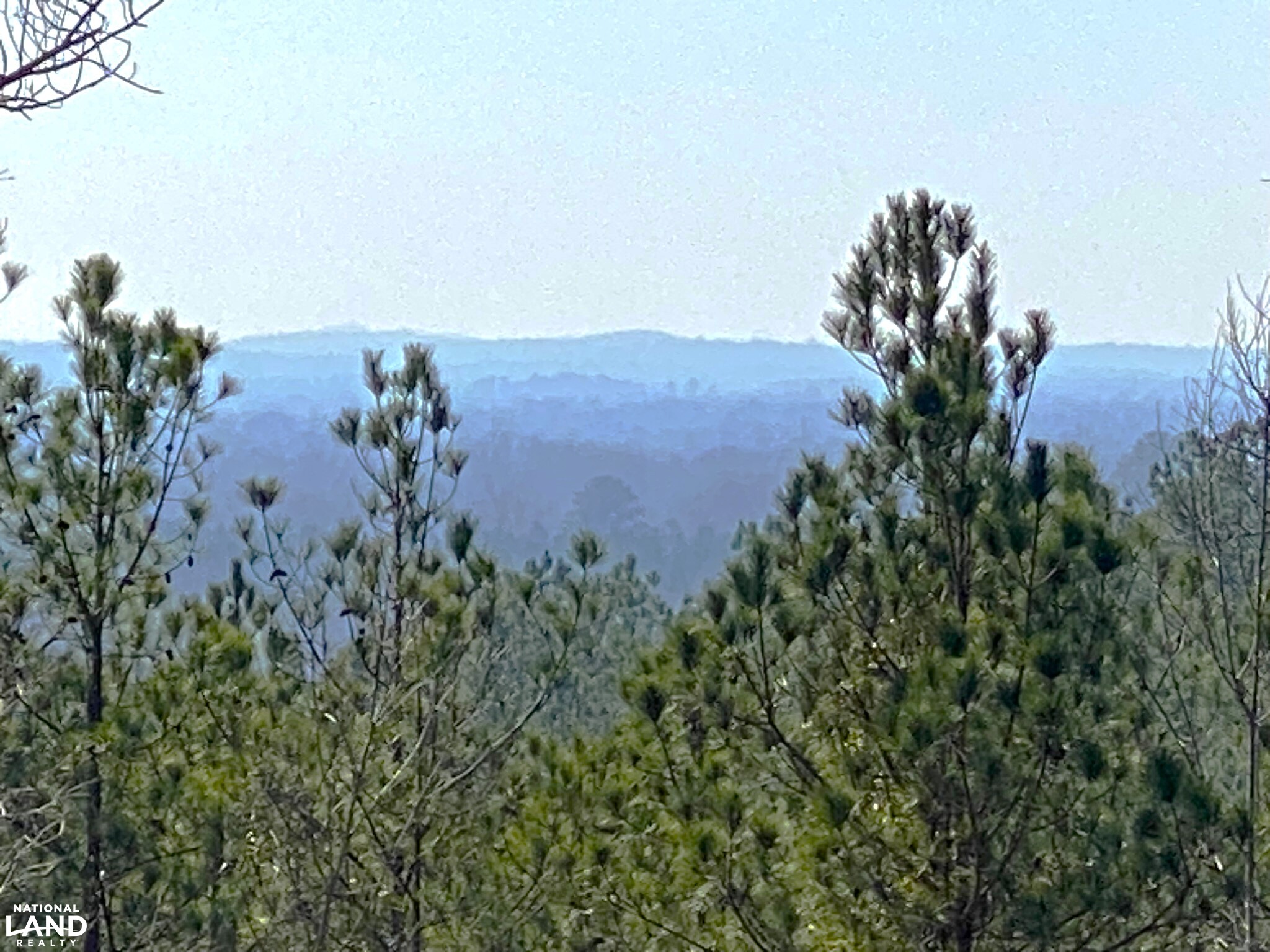 Elrod Home Site & Hunting Land in Tuscaloosa County, Alabama (24