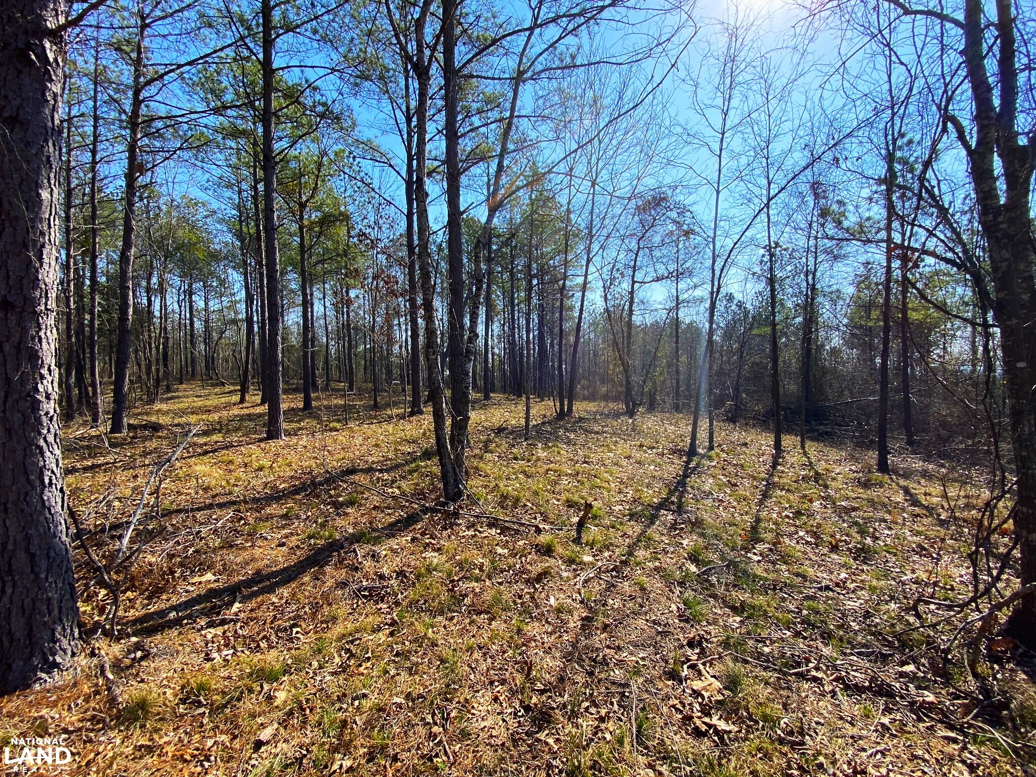 Elrod Home Site & Hunting Land in Tuscaloosa County, Alabama (24