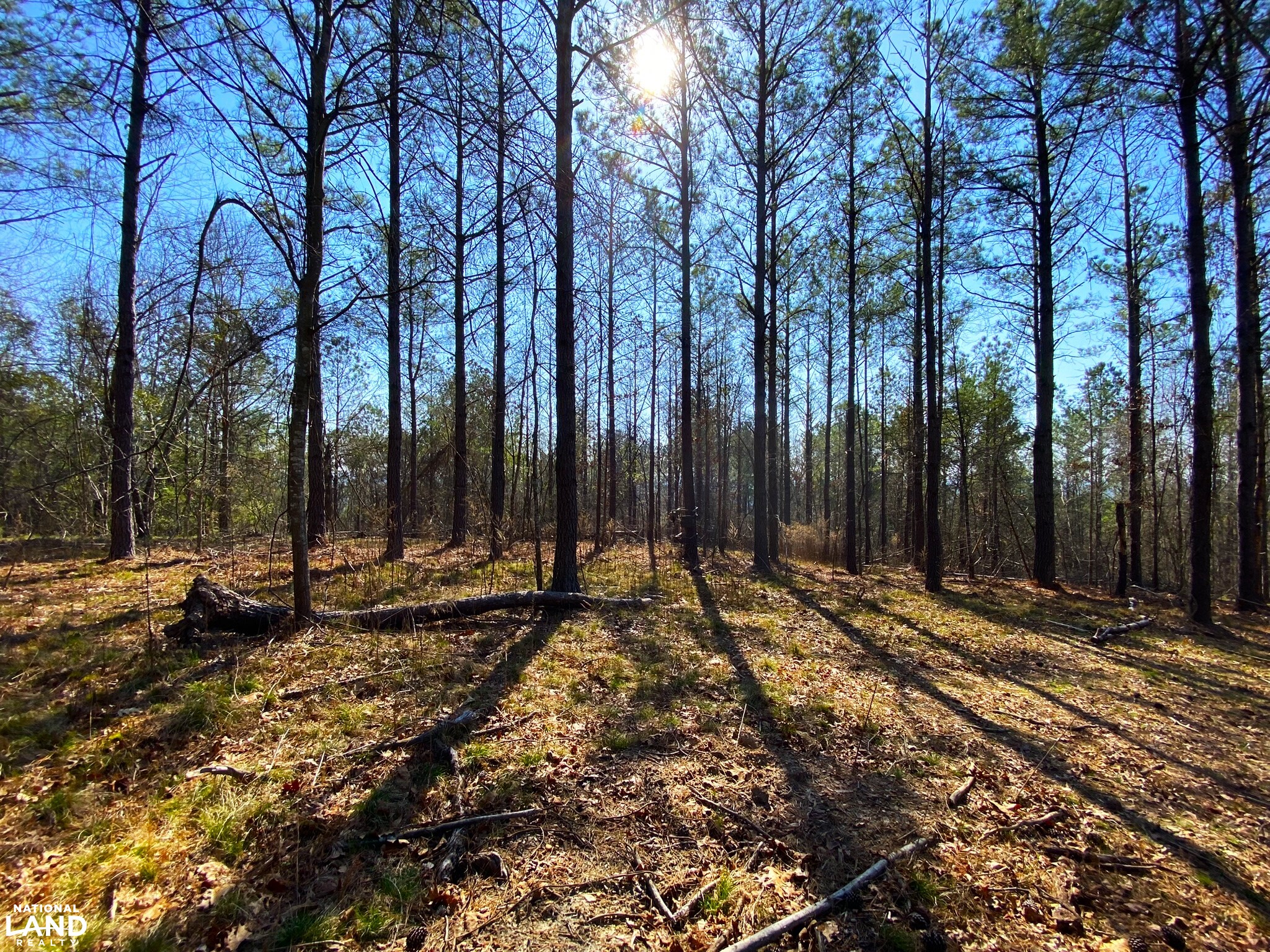 Elrod Home Site & Hunting Land in Tuscaloosa County, Alabama (24