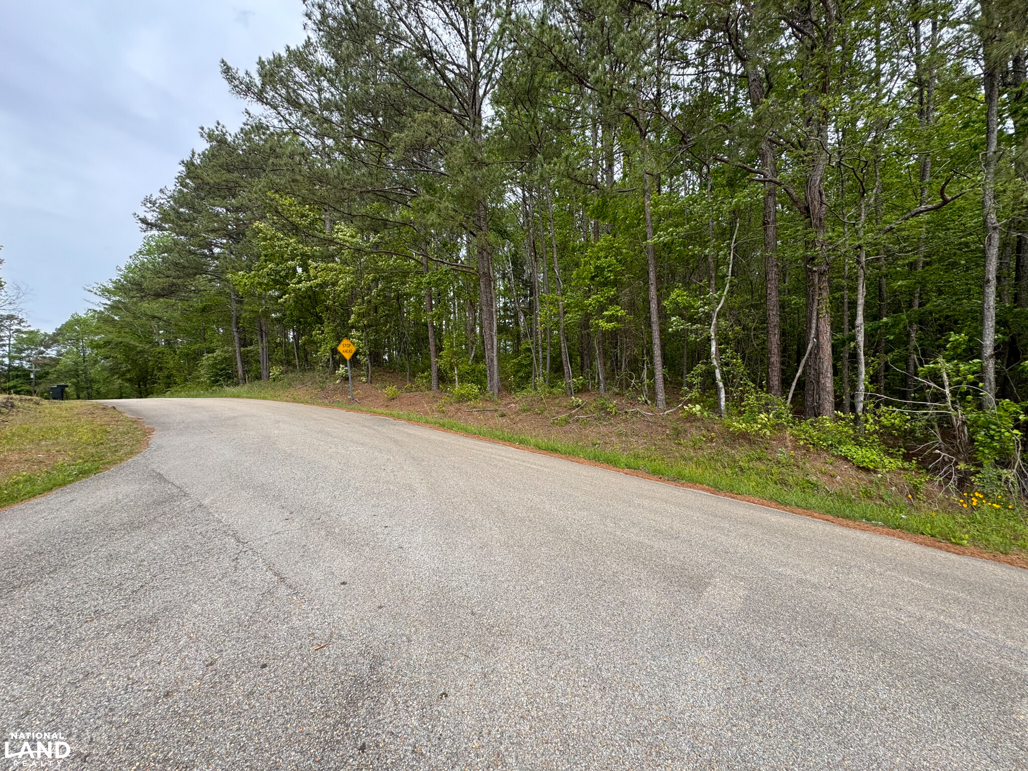 JP Coleman Park Rd Corner Lot in Tishomingo County, Mississippi (17