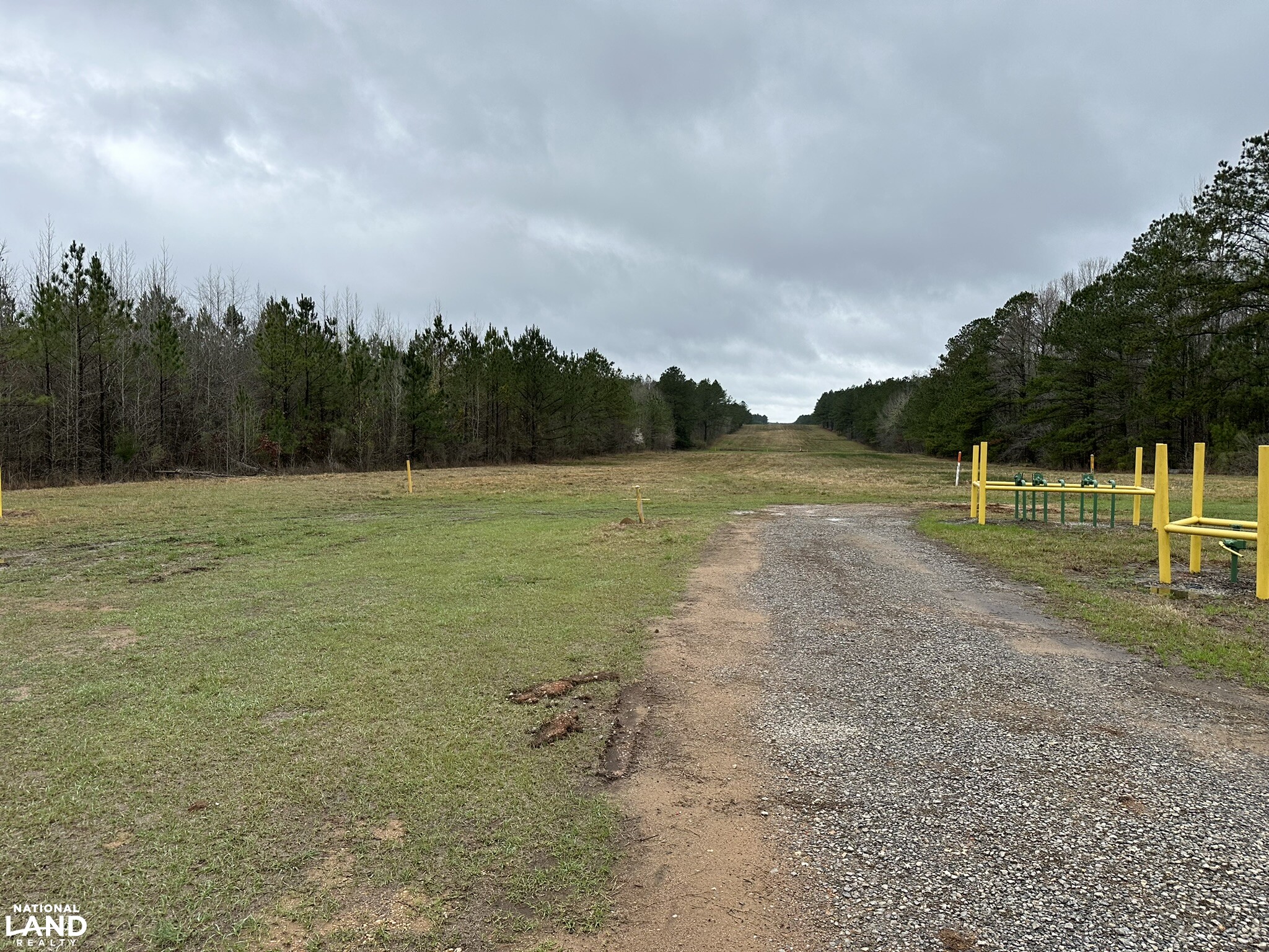Rembert Hills Road Tract in Marengo County, Alabama (2 Photos
