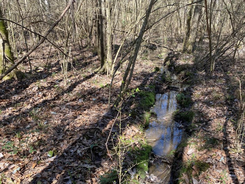 OlohMidway Residential Tract in Lamar County, Mississippi (12 Photos