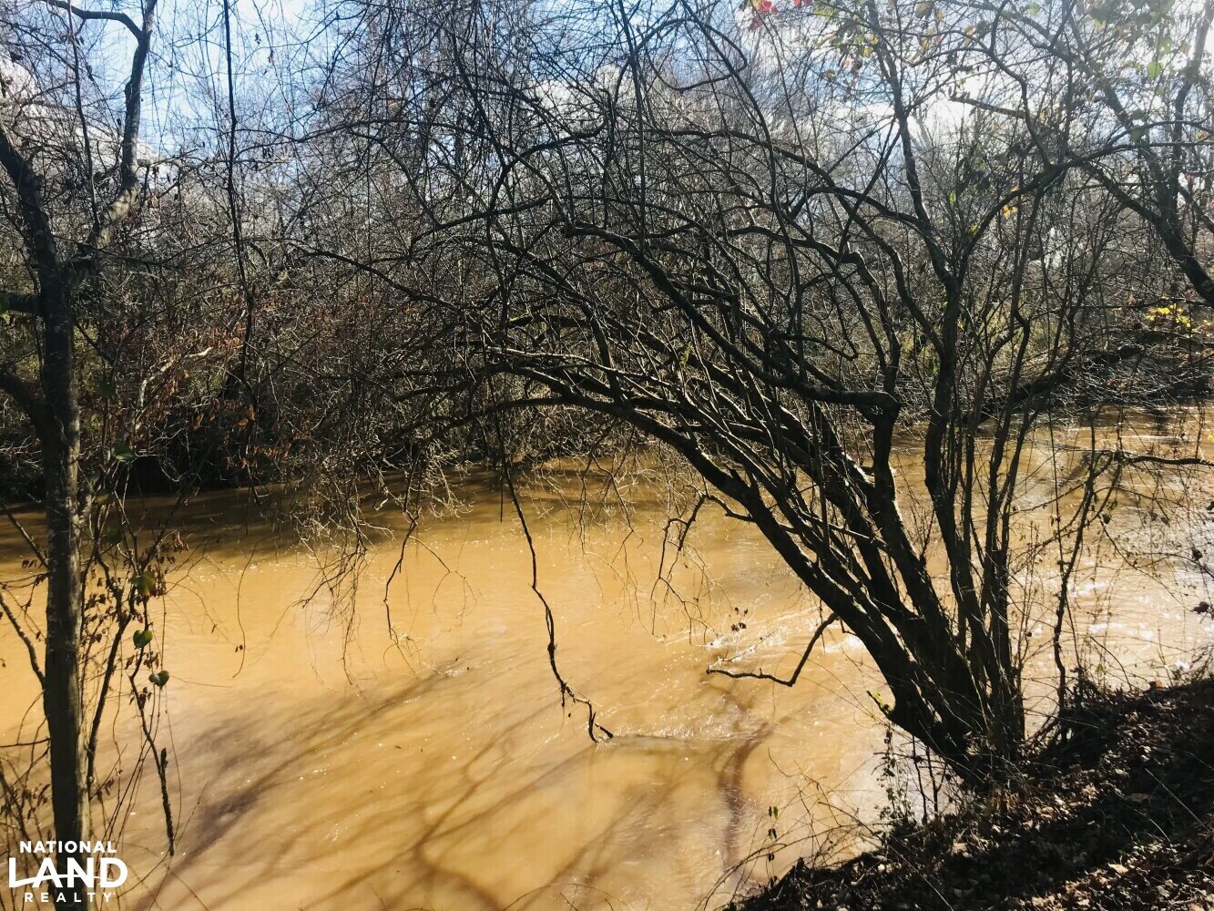 Tallapoosa River Homesite 01 in Haralson County, (26 Photos