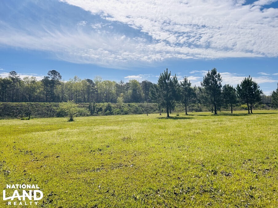 Cabin on the Flint River in Upson County, (59 Photos