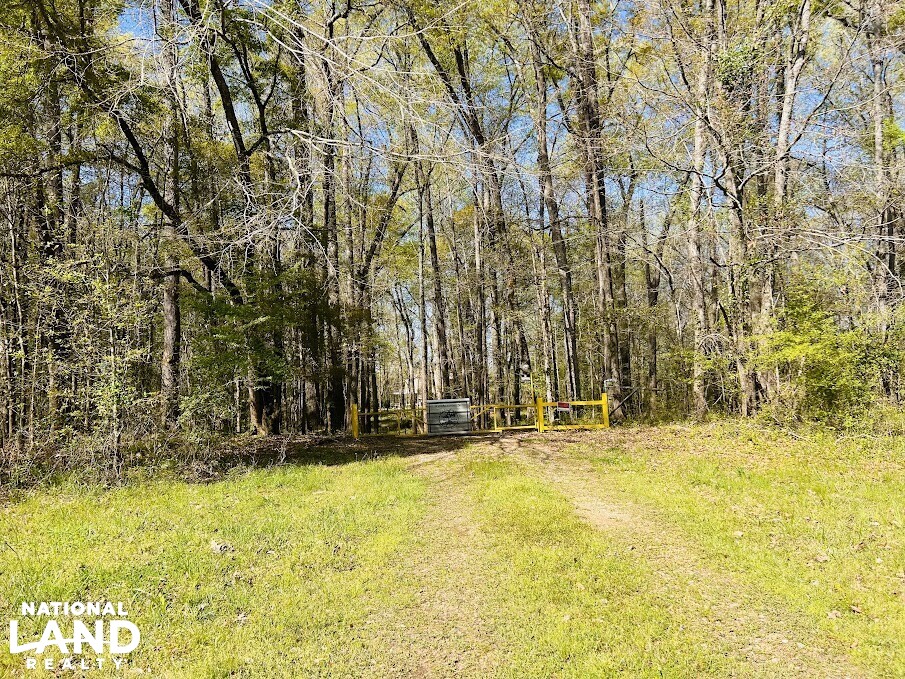 Cabin on the Flint River in Upson County, (59 Photos
