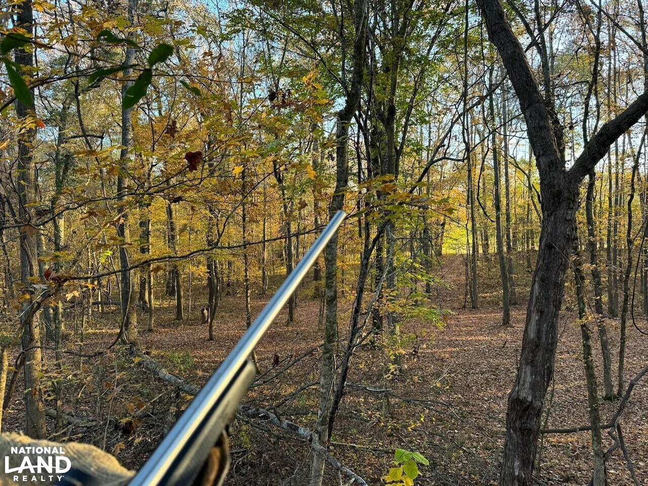 Cabin on the Flint River in Upson County, (59 Photos