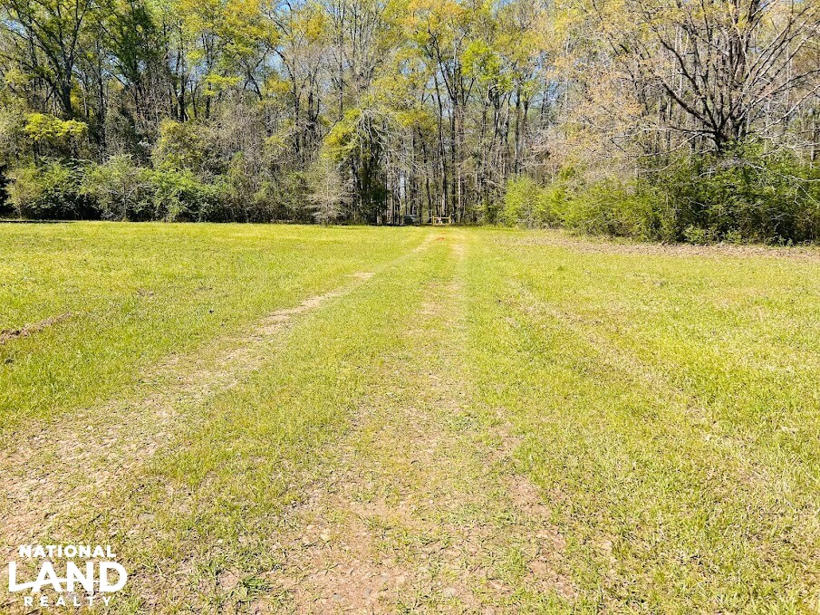 Cabin on the Flint River in Upson County, (59 Photos