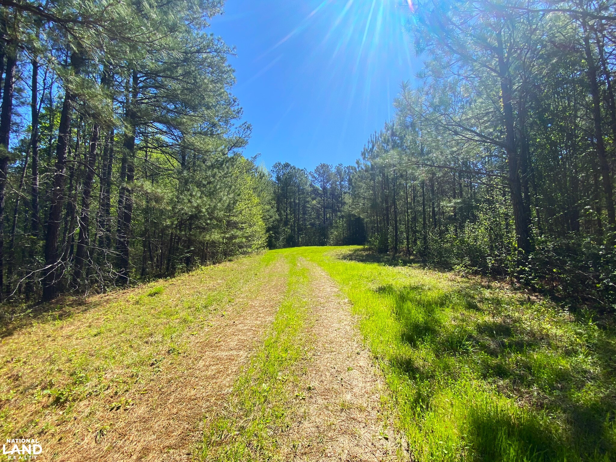 Sawyerville Home Site Hunting Timber Tract w/ Pond in Hale County