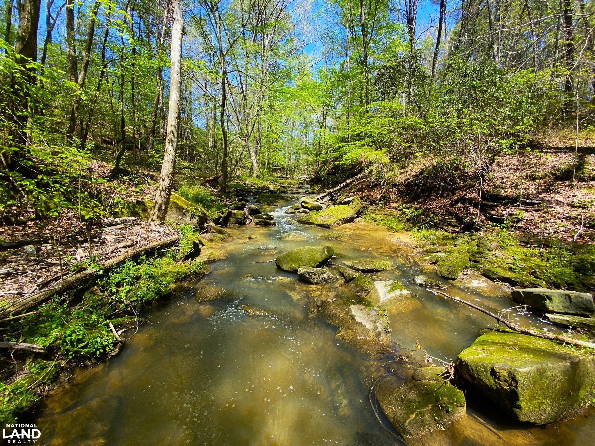 Carbon Hill Hilltop Home Site w/ Views and Year Round Creek in Walker