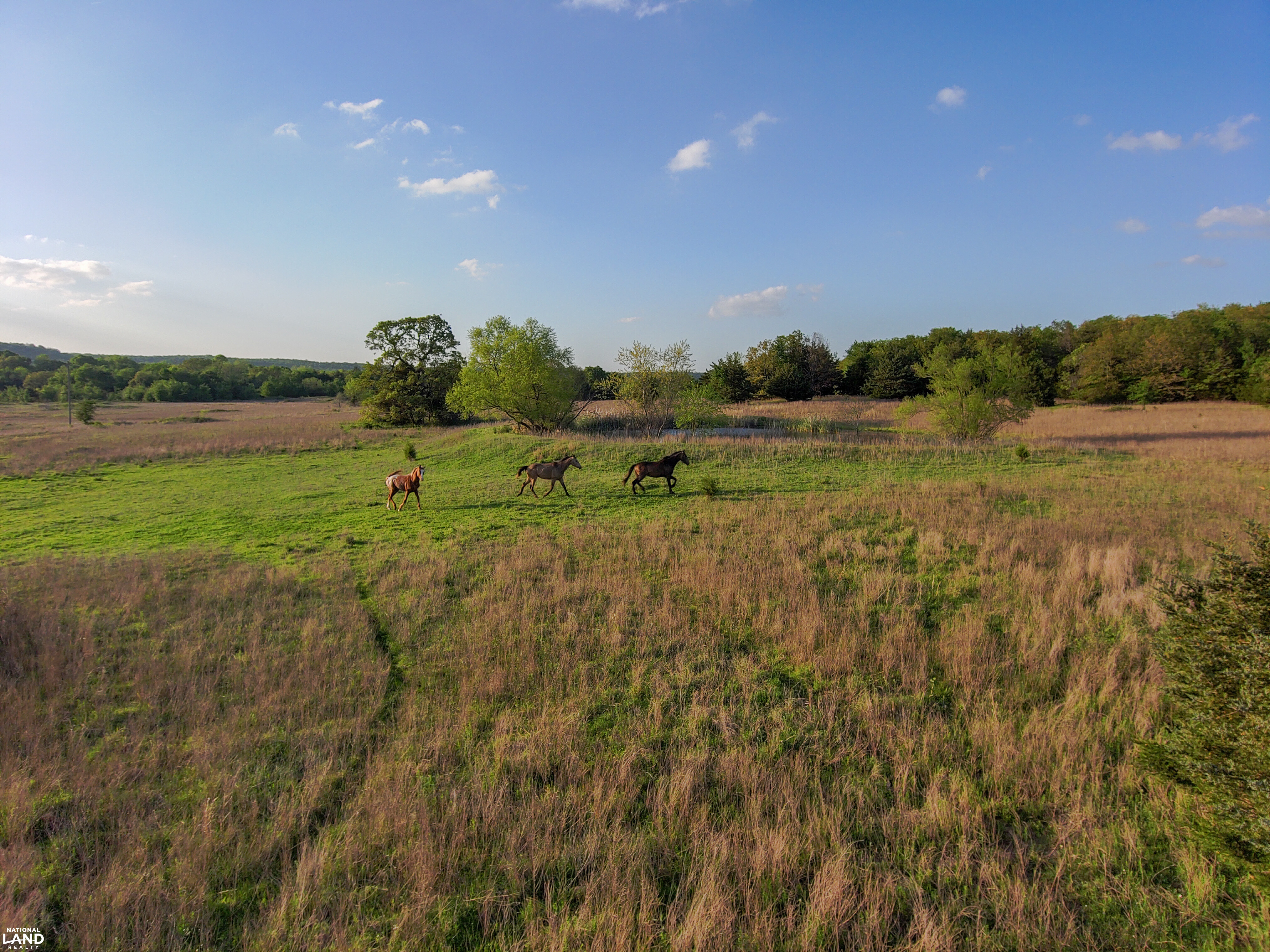 Spirit Horse Ranch in Pittsburg County, OK (53 of 98)