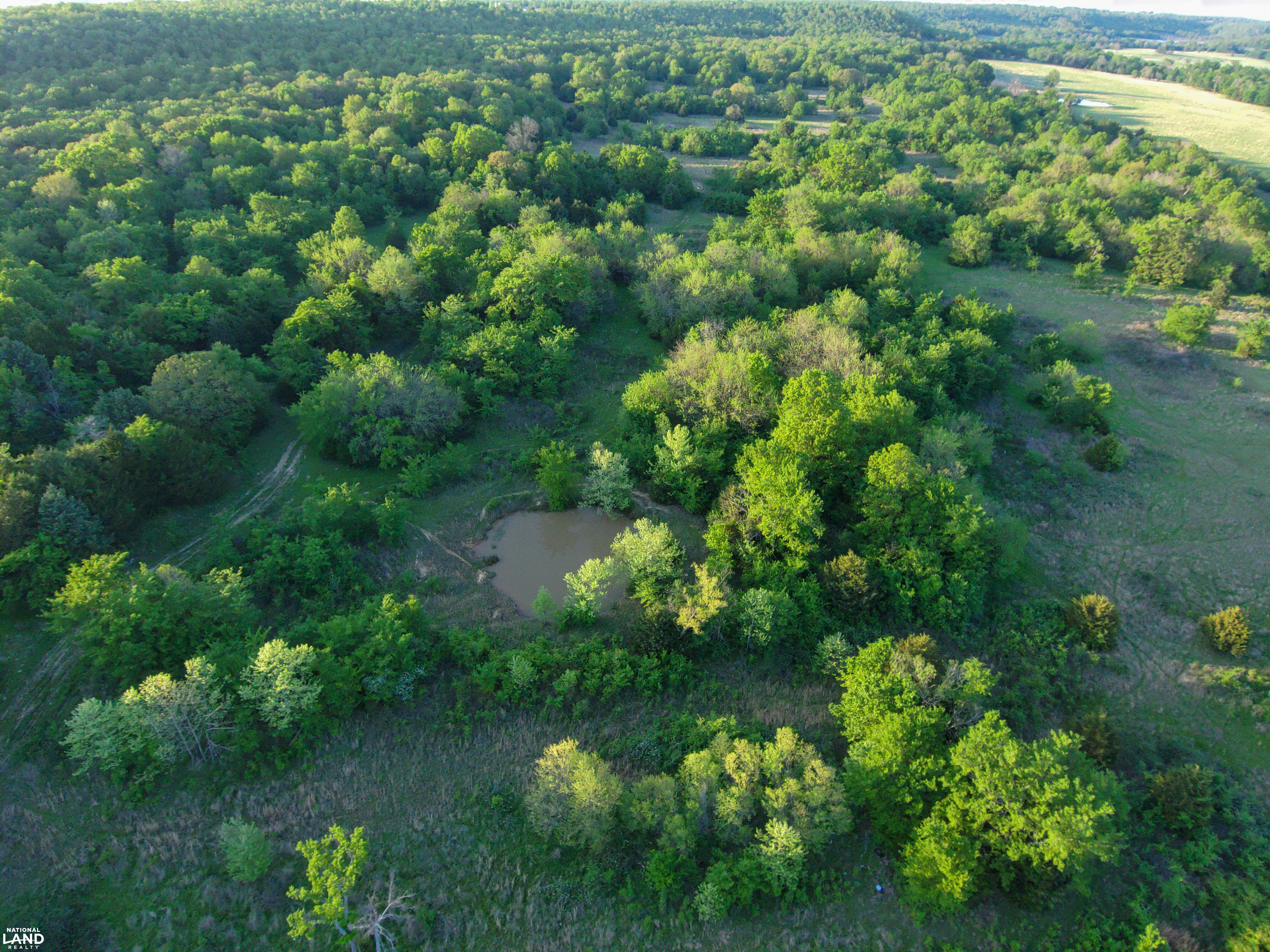 Spirit Horse Ranch in Pittsburg County, OK (59 of 98)
