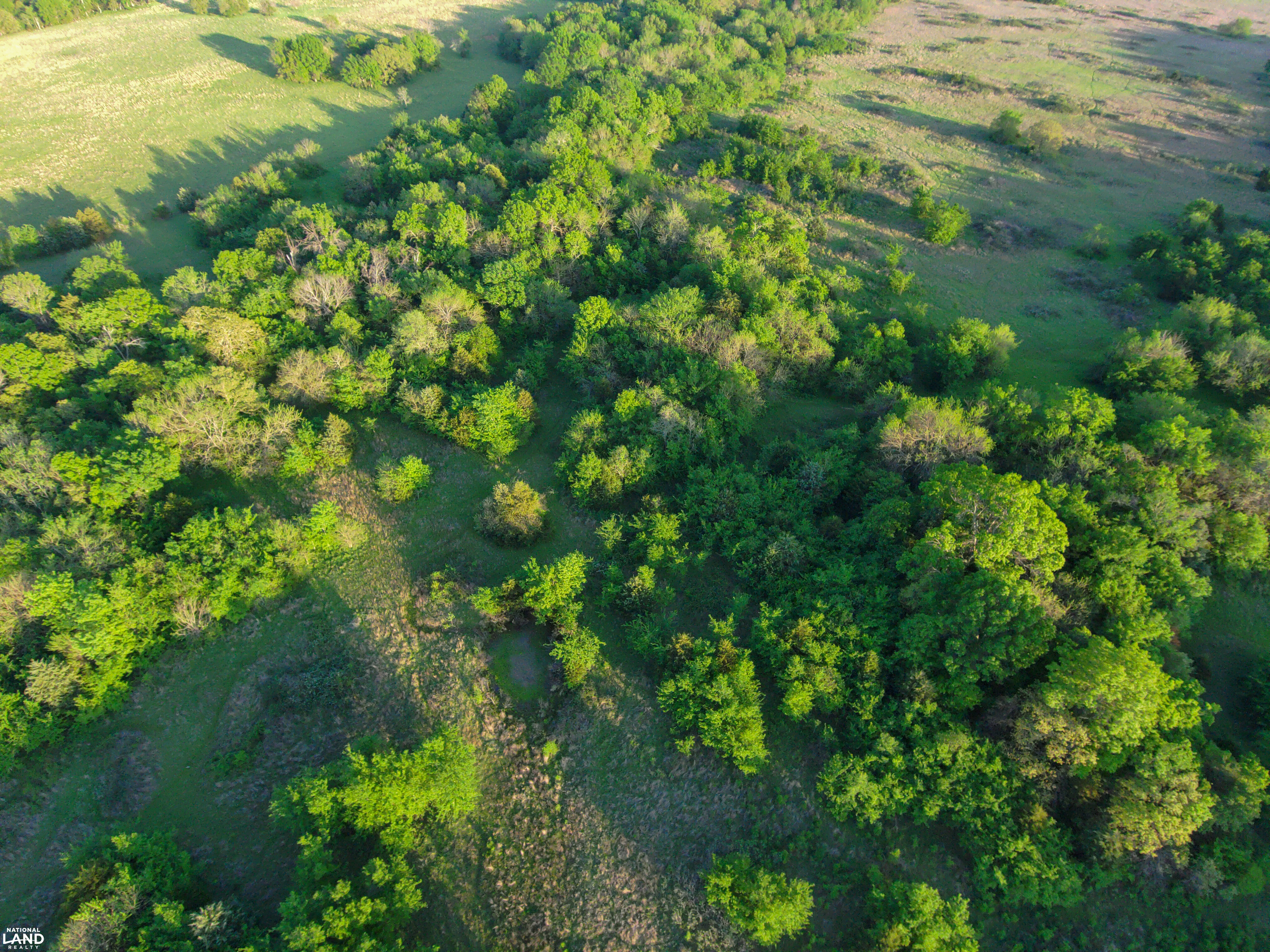 Spirit Horse Ranch in Pittsburg County, OK (64 of 98)