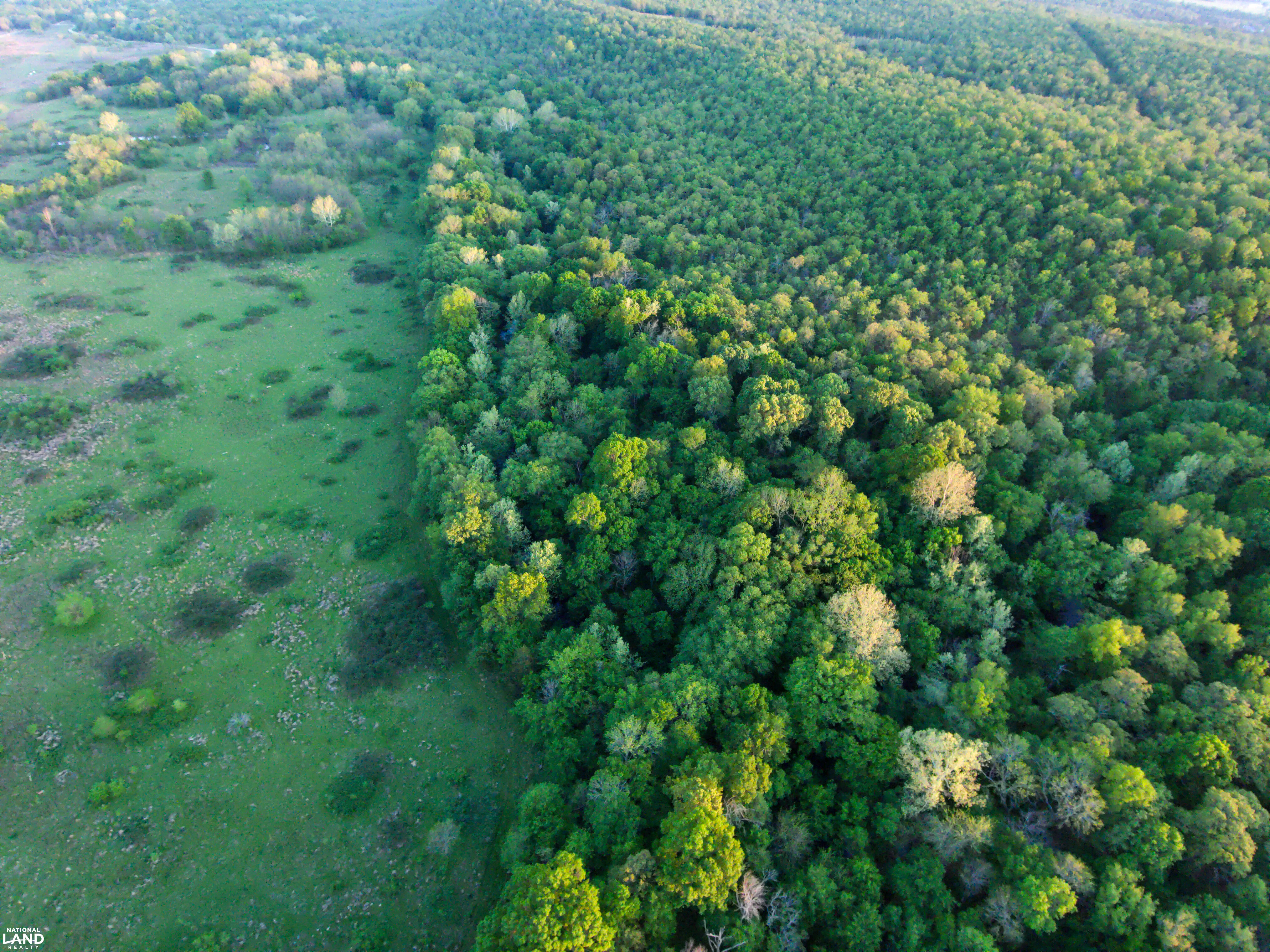 Spirit Horse Ranch in Pittsburg County, OK (95 of 98)