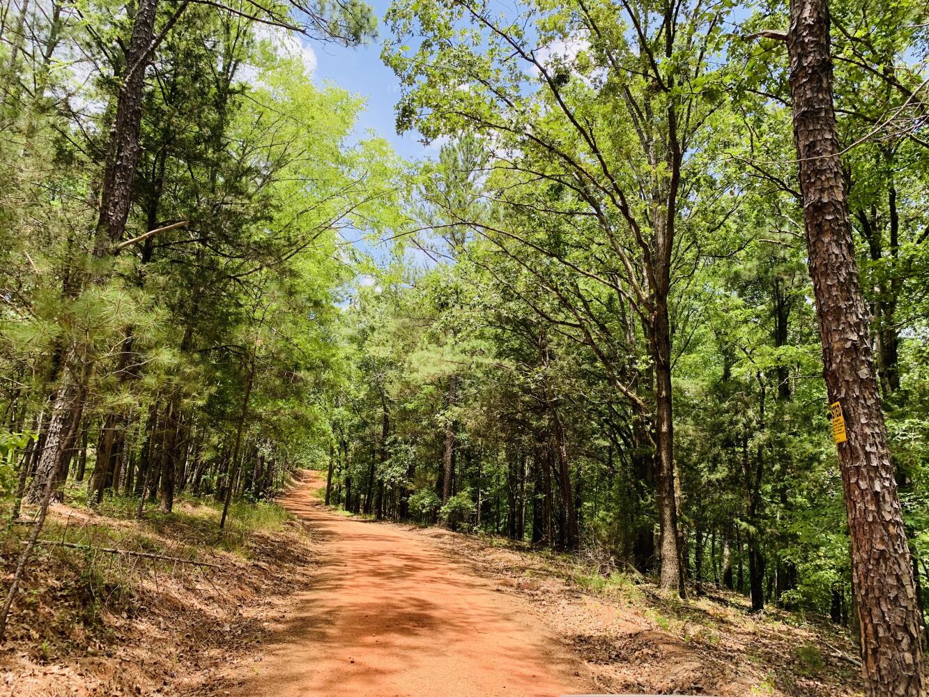 Wildlife Road Hunting and Recreation in Kershaw County, South Carolina