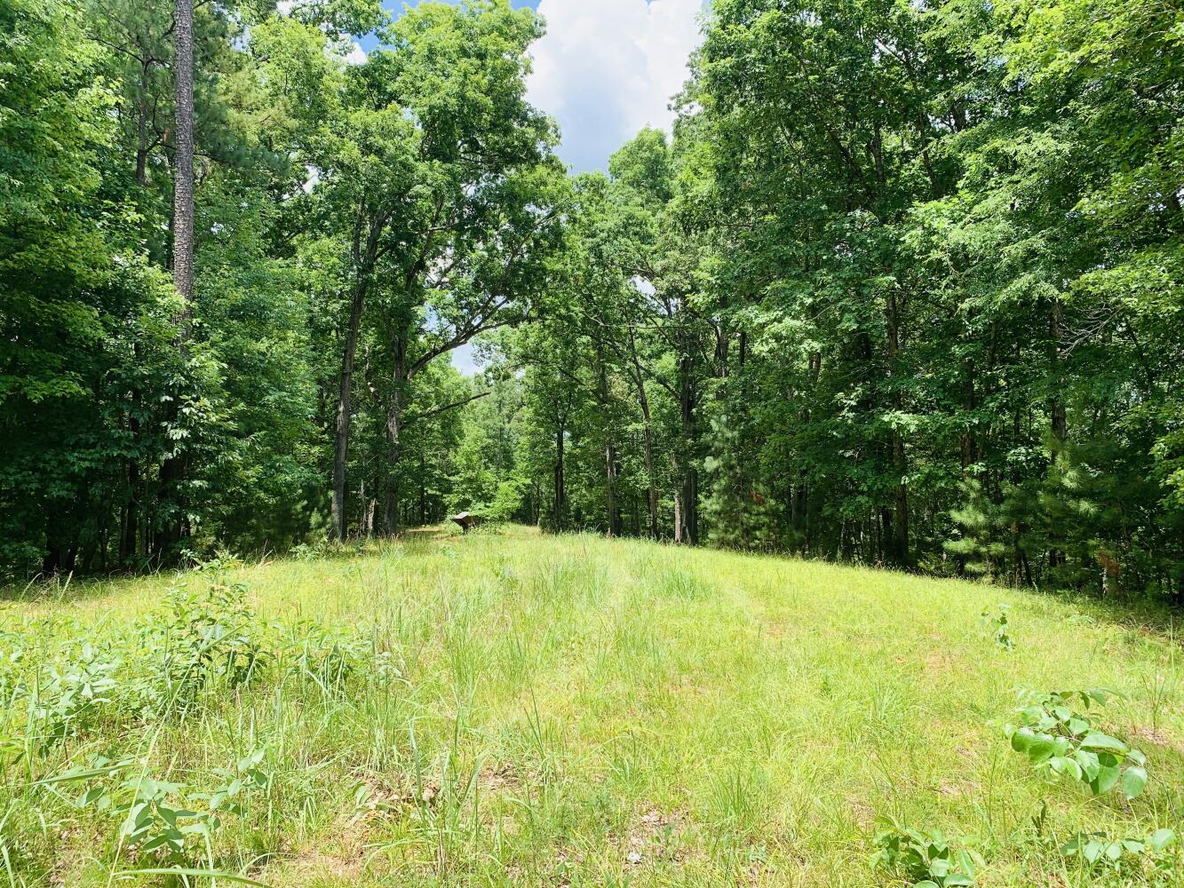 Wildlife Road Hunting and Recreation in Kershaw County, South Carolina