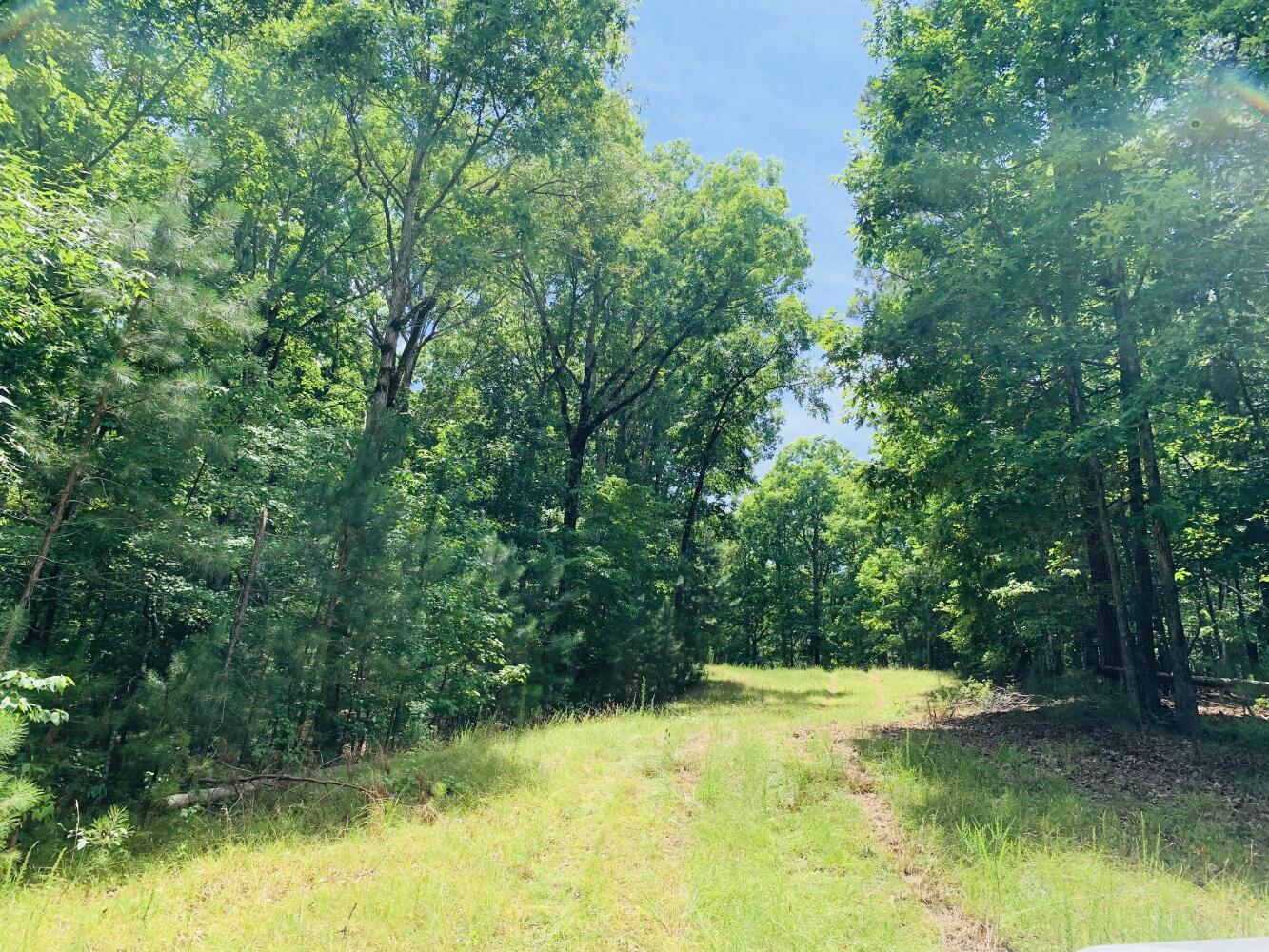 Wildlife Road Hunting and Recreation in Kershaw County, South Carolina