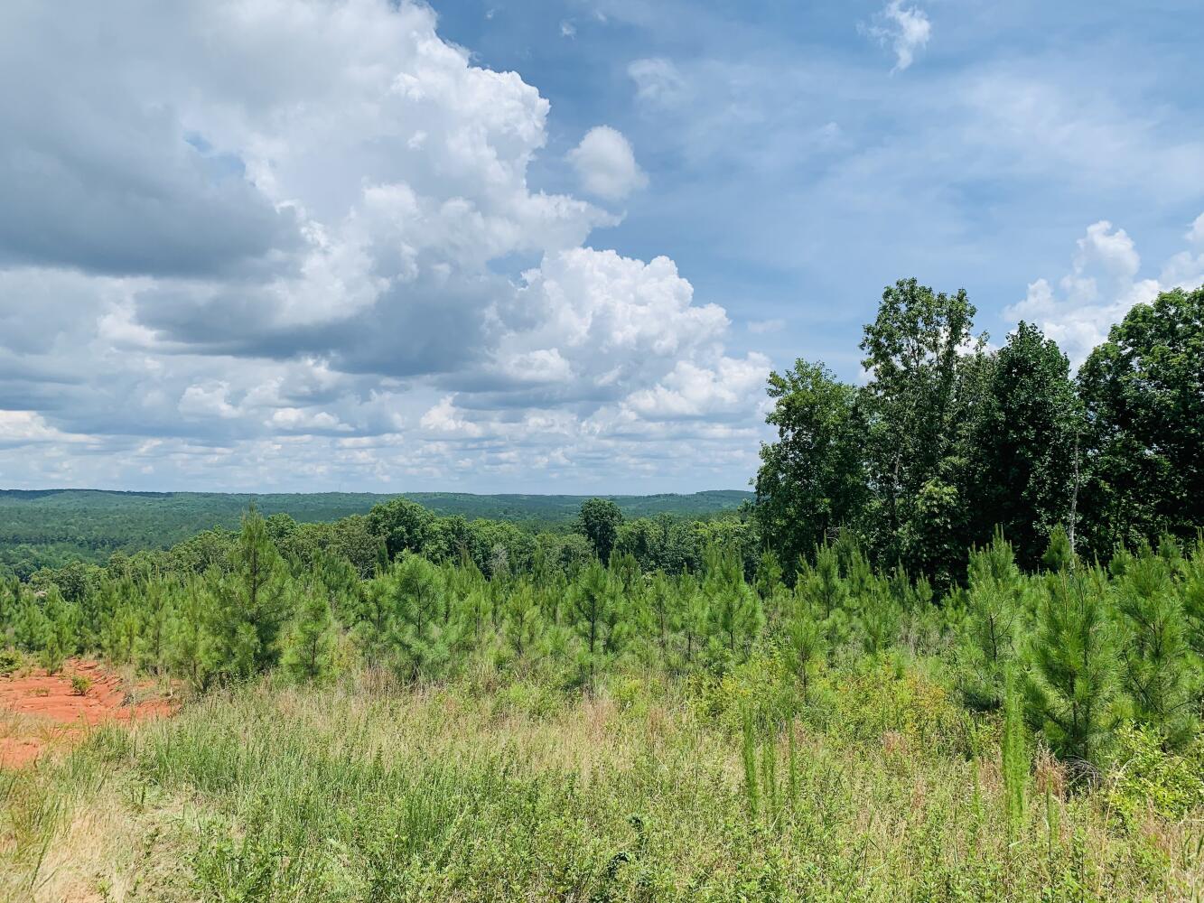 Wildlife Road Hunting and Recreation in Kershaw County, South Carolina (48 Photos) National