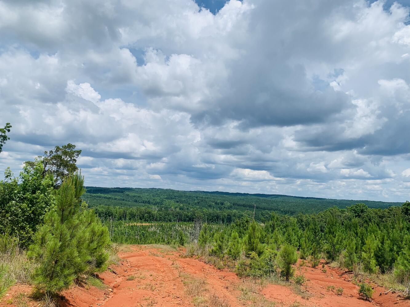 Wildlife Road Hunting and Recreation in Kershaw County, South Carolina (48 Photos) National