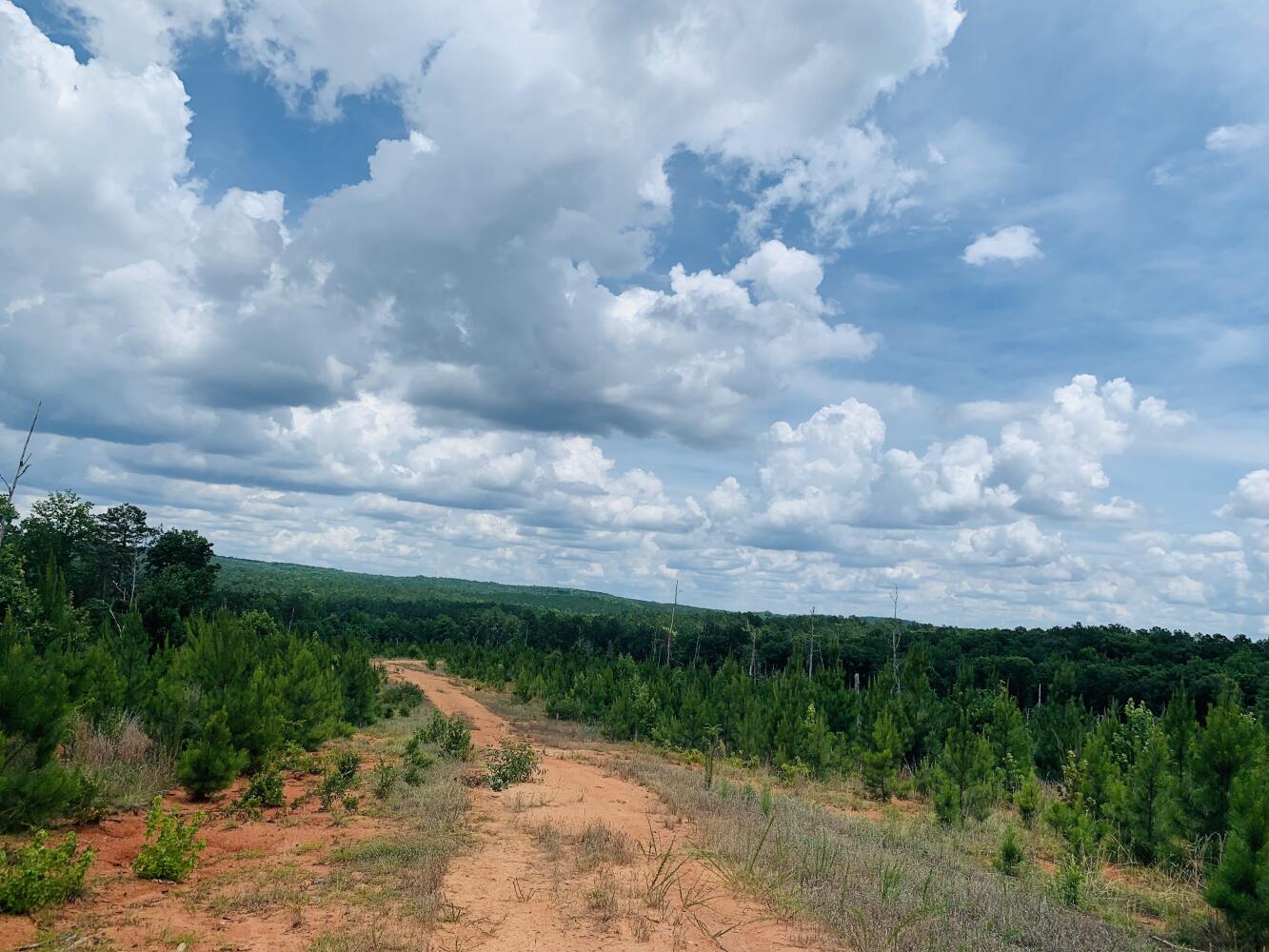 Wildlife Road Hunting and Recreation in Kershaw County, South Carolina