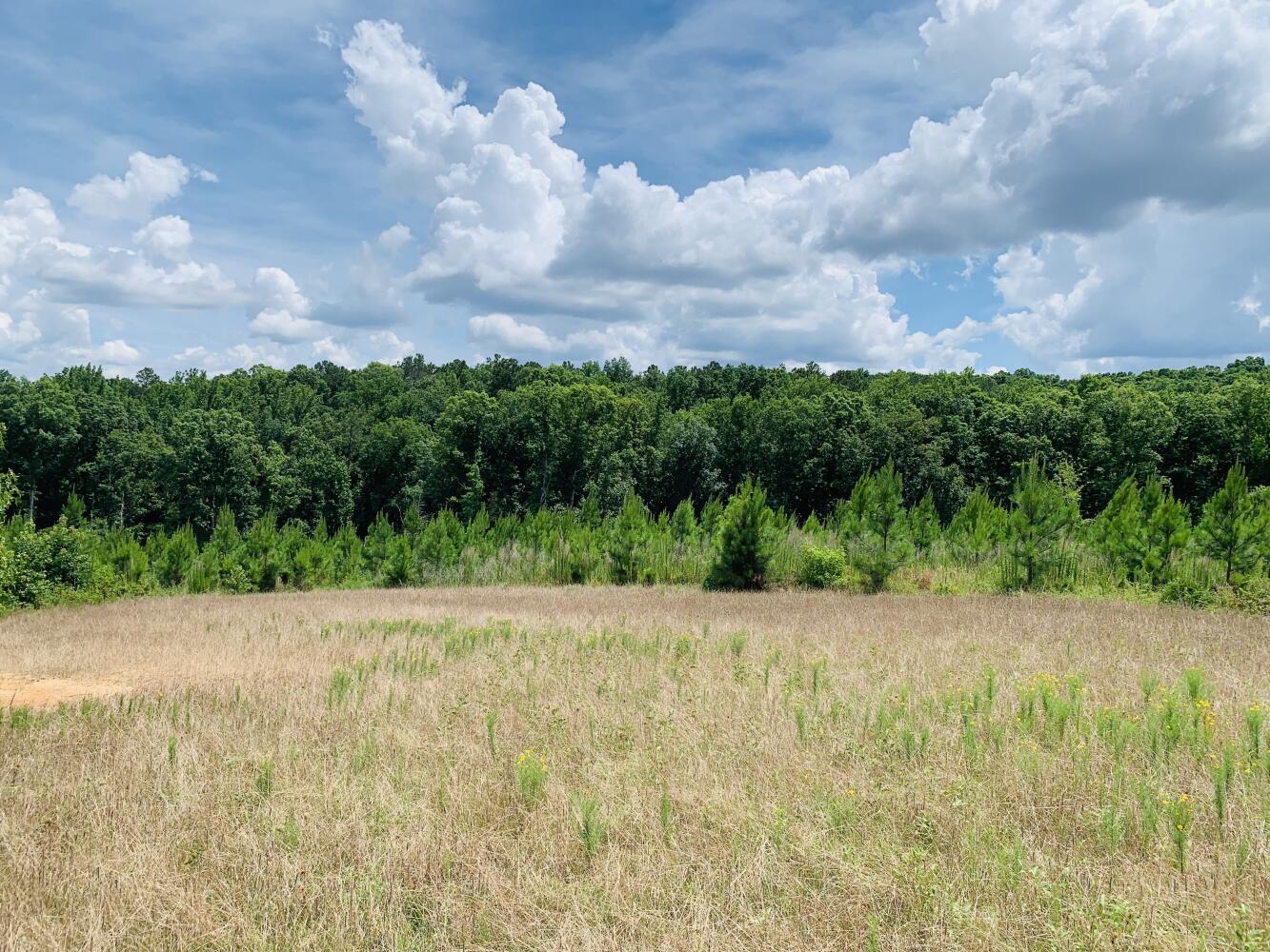 Wildlife Road Hunting and Recreation in Kershaw County, South Carolina (48 Photos) National