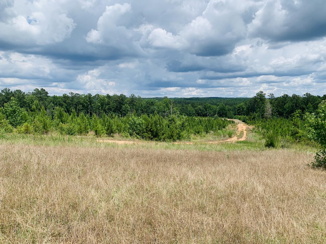 Wildlife Road Hunting and Recreation in Kershaw County, South Carolina