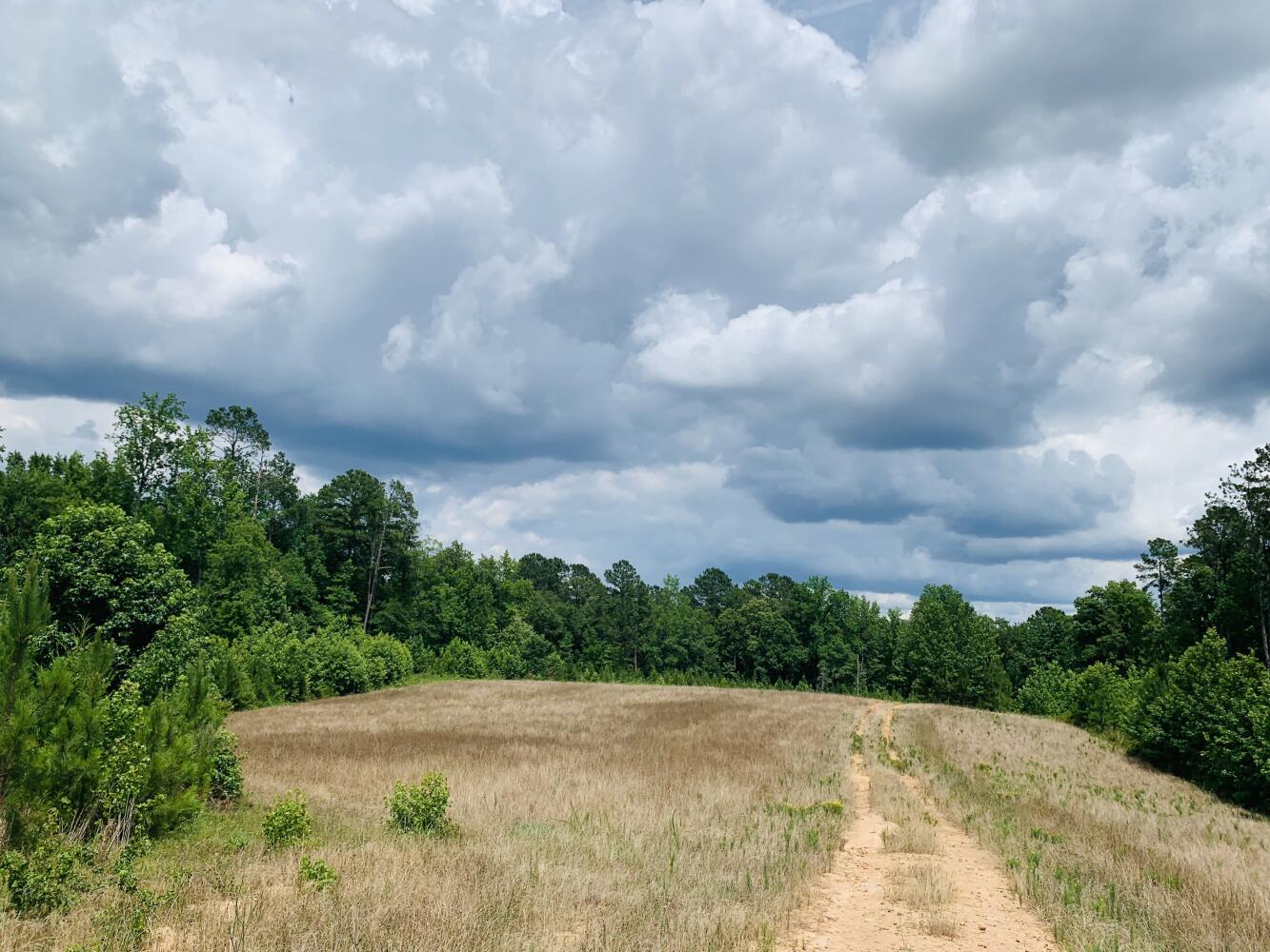 Wildlife Road Hunting and Recreation in Kershaw County, South Carolina