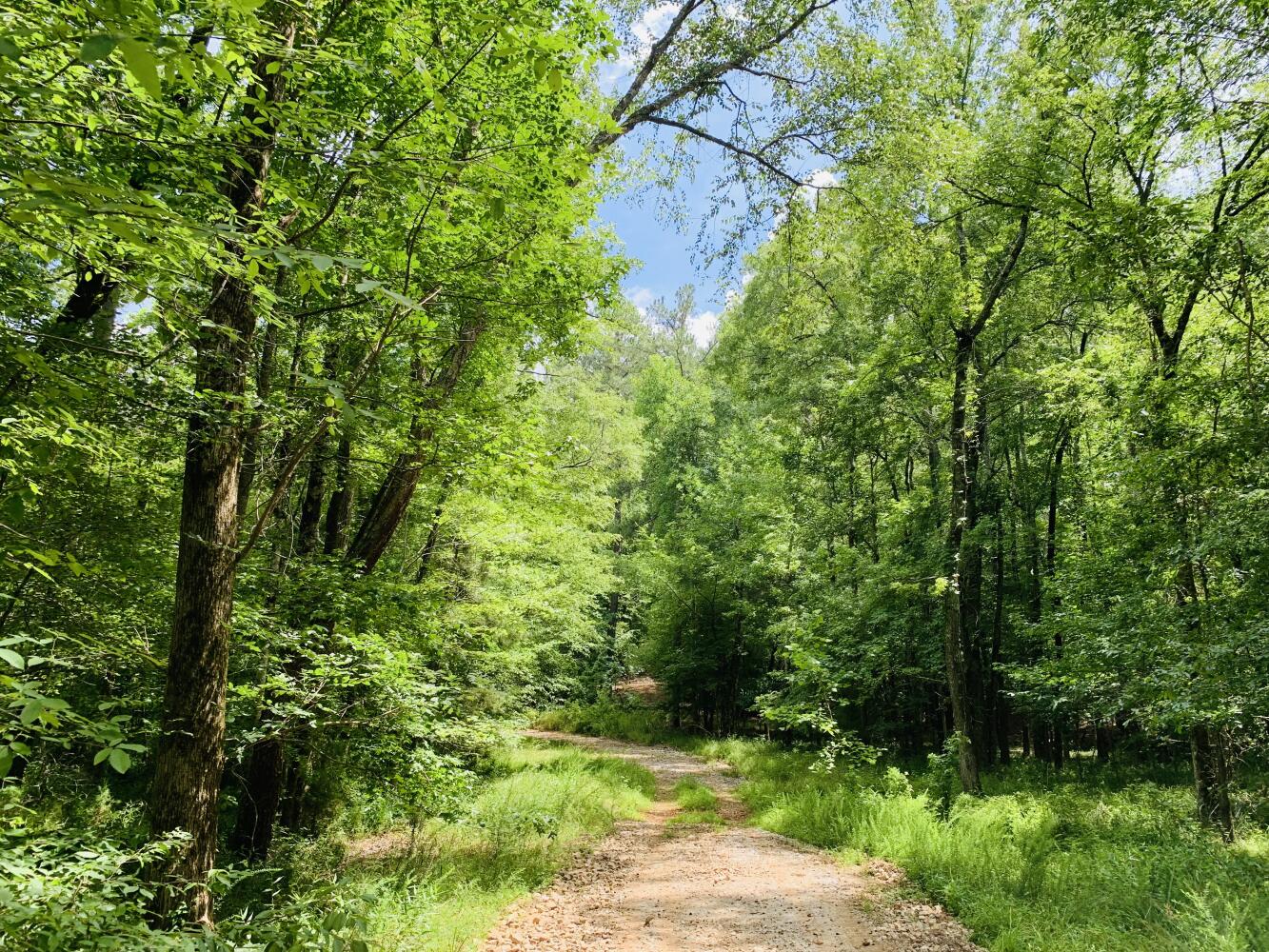 Wildlife Road Hunting and Recreation in Kershaw County, South Carolina (48 Photos) National