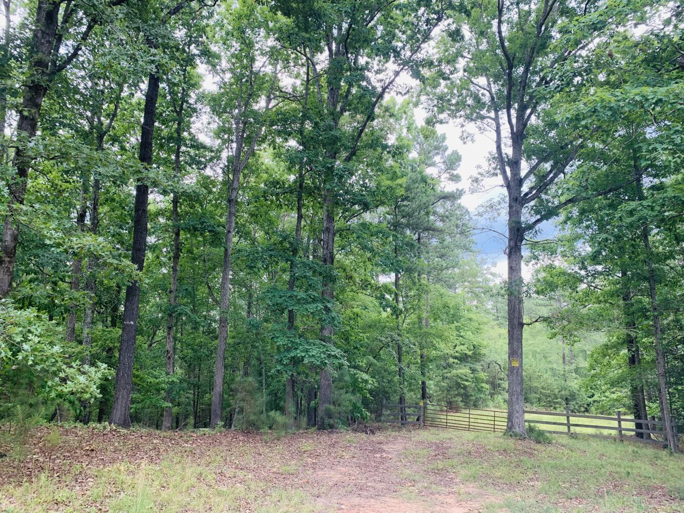 Wildlife Road Hunting and Recreation in Kershaw County, South Carolina