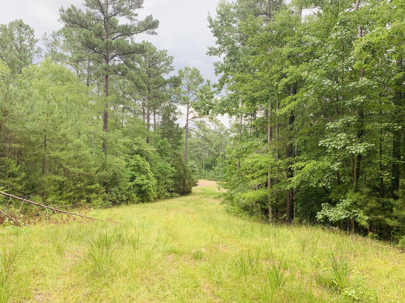 Wildlife Road Hunting and Recreation in Kershaw County, South Carolina (48 Photos) National